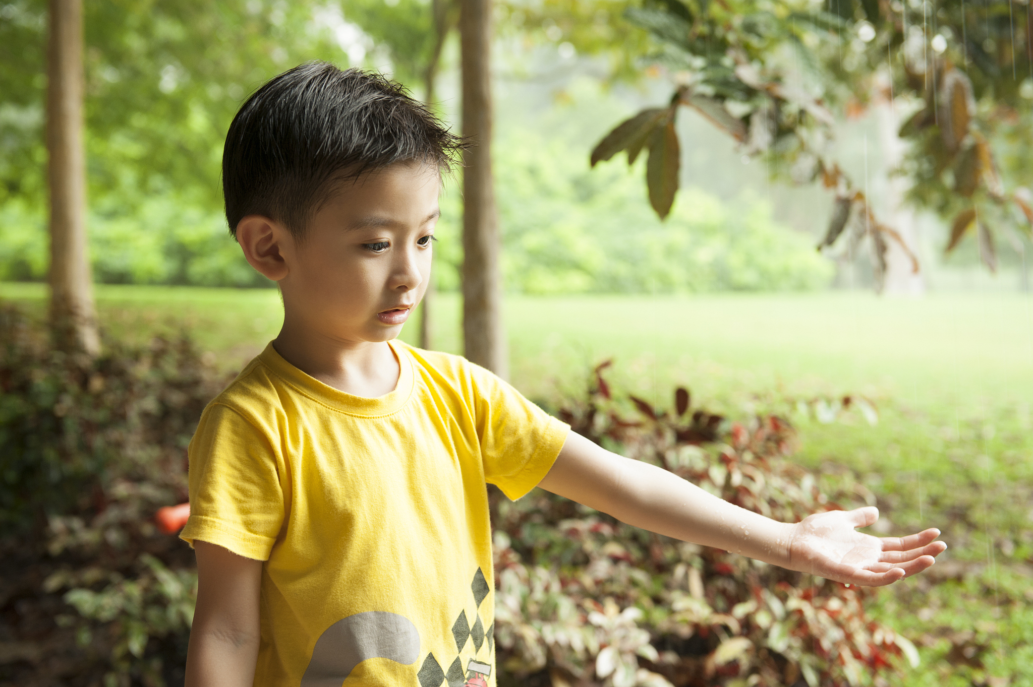 asian chinese boy