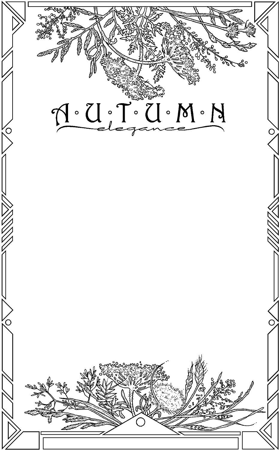 Highcharts 没有边框吗