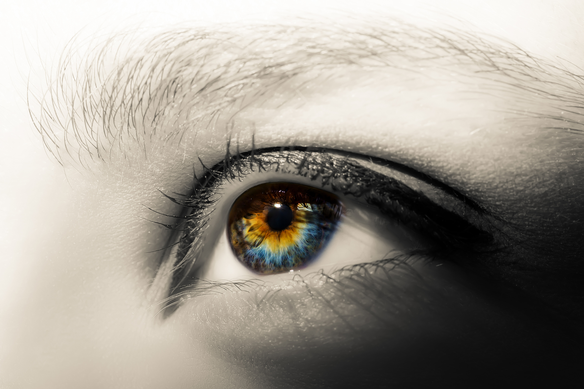 creative black and white photo of colorful female eye with long 