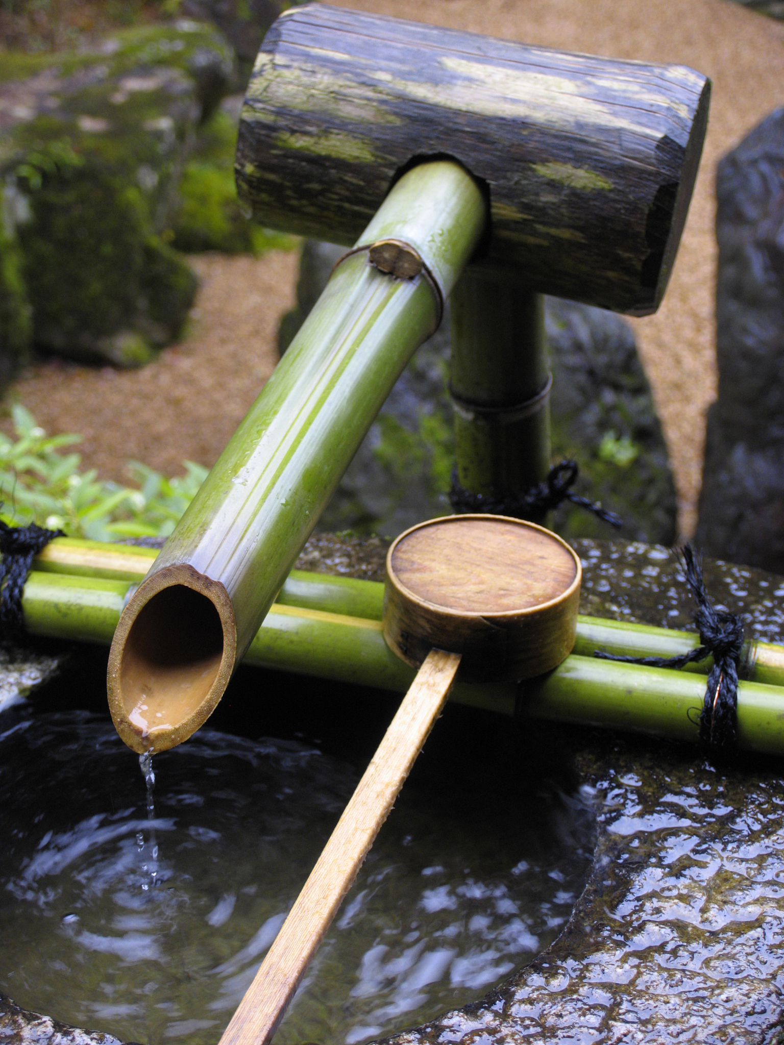 鲜竹沥是什么酒？传统制作工艺揭秘！