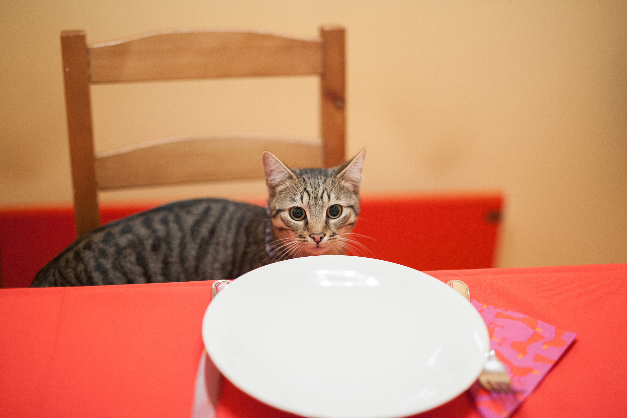 辽宁理工职业学院酒店管理专业怎么样