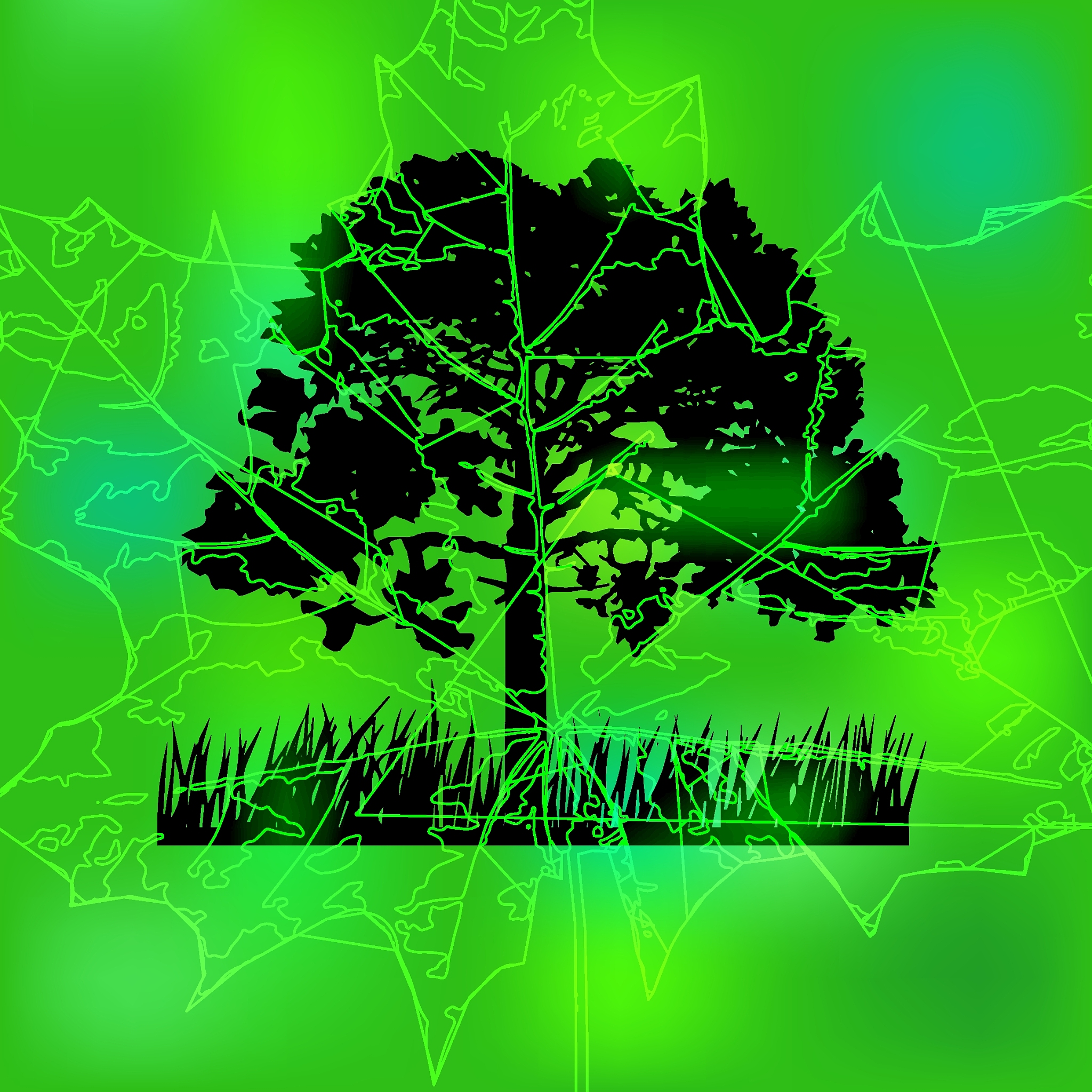 总结：Our algorithm makes use of the 3D structure inherent inthe lidar point cloud It makes use of the shape of trees in aforest by taking advantage of the relative difference inspacing between tree tops