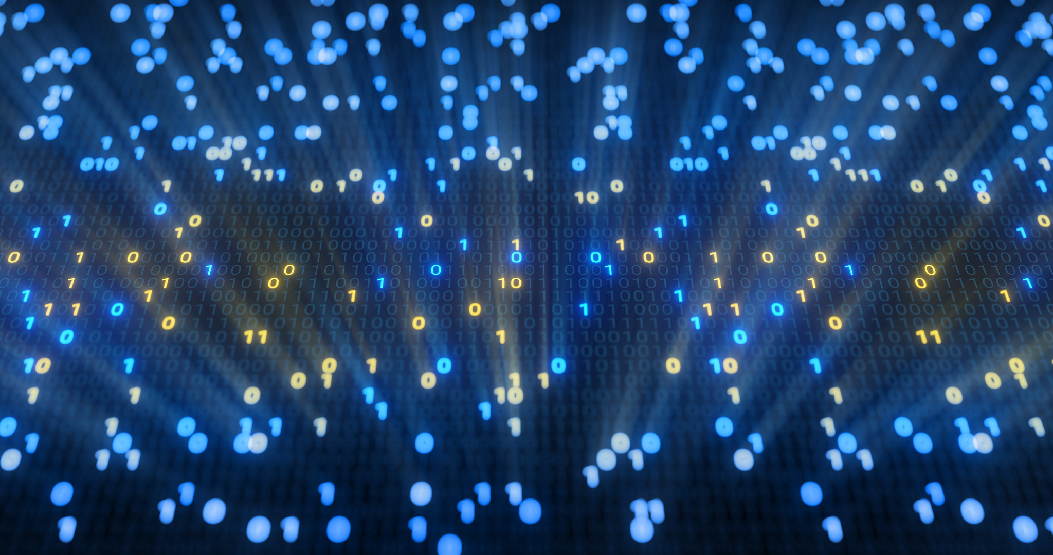 浙江金融职业学院计算机信息管理专业就业方向解析