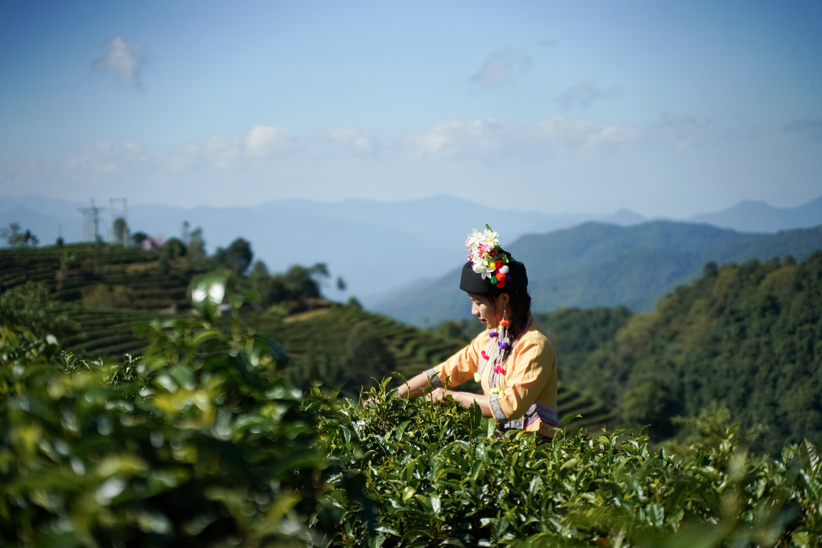 中国茶文化的第1个高峰是在哪个朝代中国茶文化的第一个高峰是在唐朝。唐朝时期茶叶的种植、制作和饮用达到了一个新的高度茶文化也开始在社会中广泛流传。唐代的文人墨客们喜欢在茶馆中品茶、作诗茶文化也成为当时的一种文化现象。唐代还出现了一些著名的茶书如陆羽的《茶经》和陶渊明的《茶录》这些书籍对后来的茶文化发展产生了深远的影响。茶字萌芽于哪个朝代？茶字最早的出现可以追溯到西周时期但茶字的完整形式是在唐朝时期形