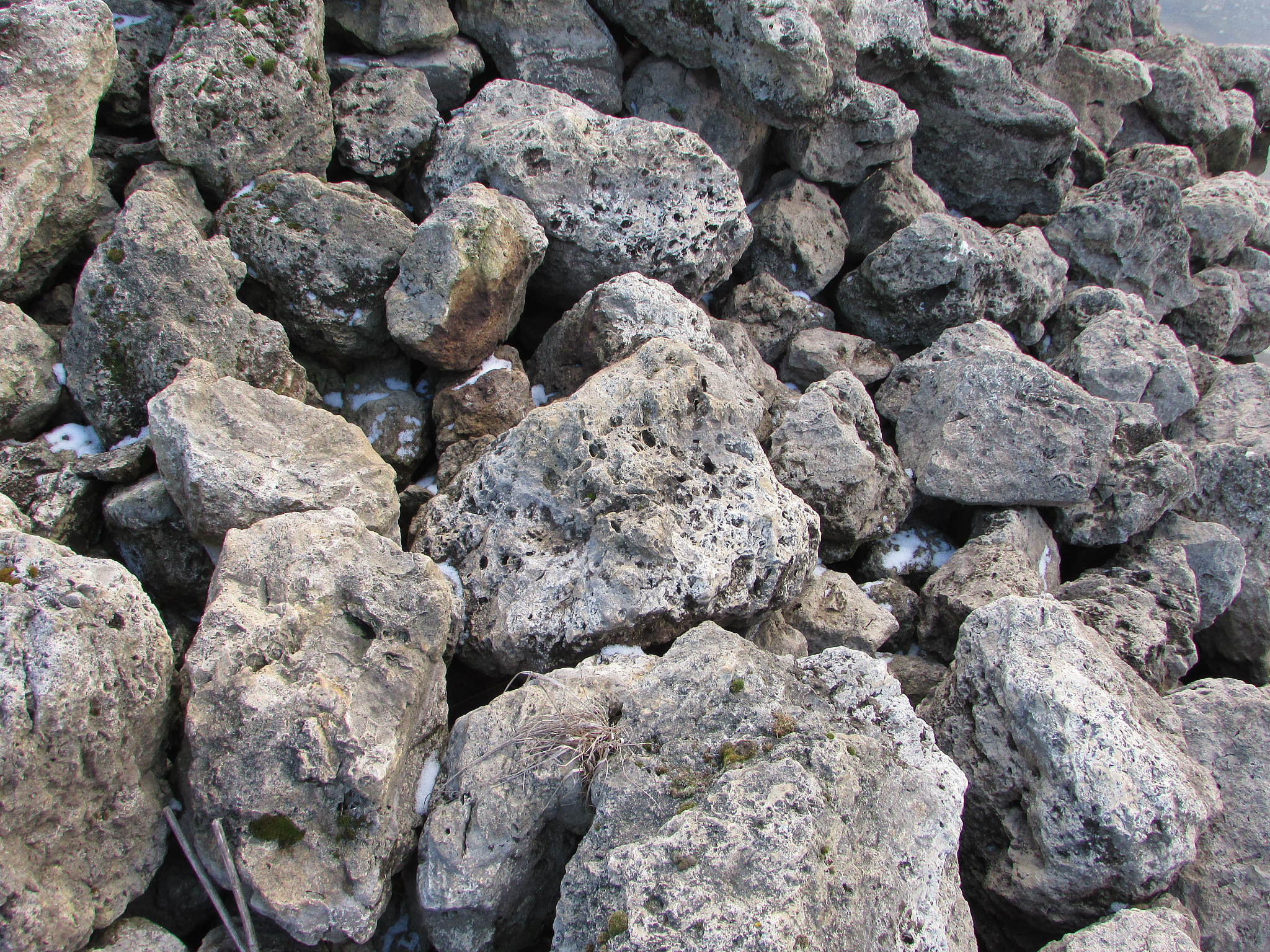 水铁矿对磷的吸附能力为什么比针铁矿更强