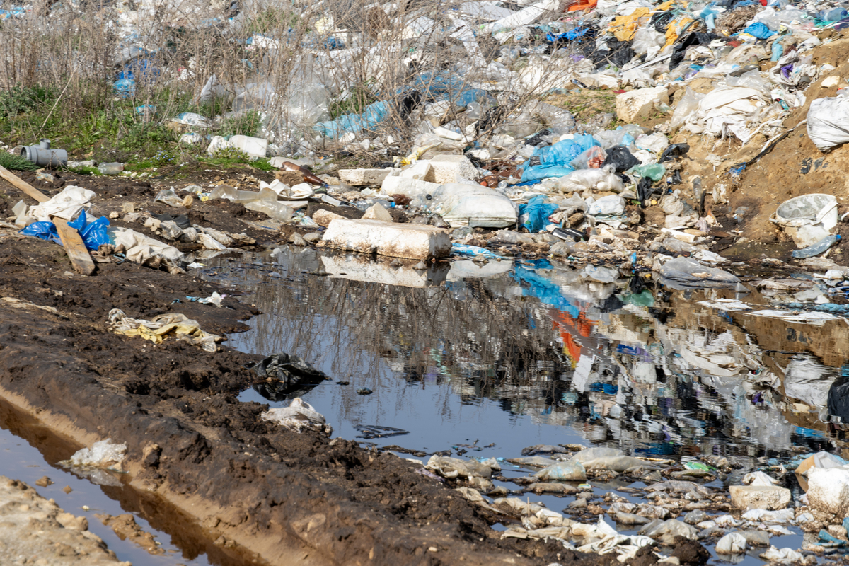 请以世界卫生环境保护为主题写一段研究结论和反思300字以内