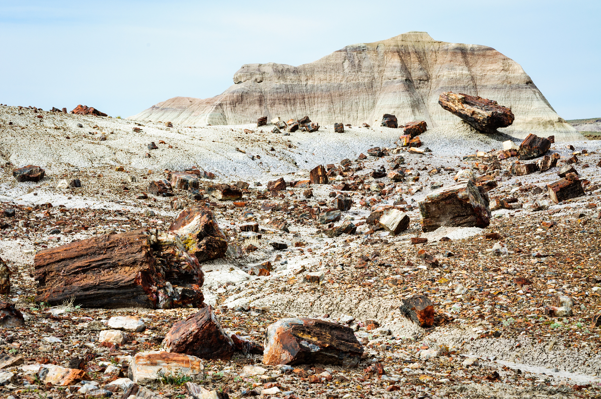请帮我写1篇不少于800汉字的博客文章语言要幽默接地气。主题是：罗布泊神秘事件最神秘的9大事件曝光