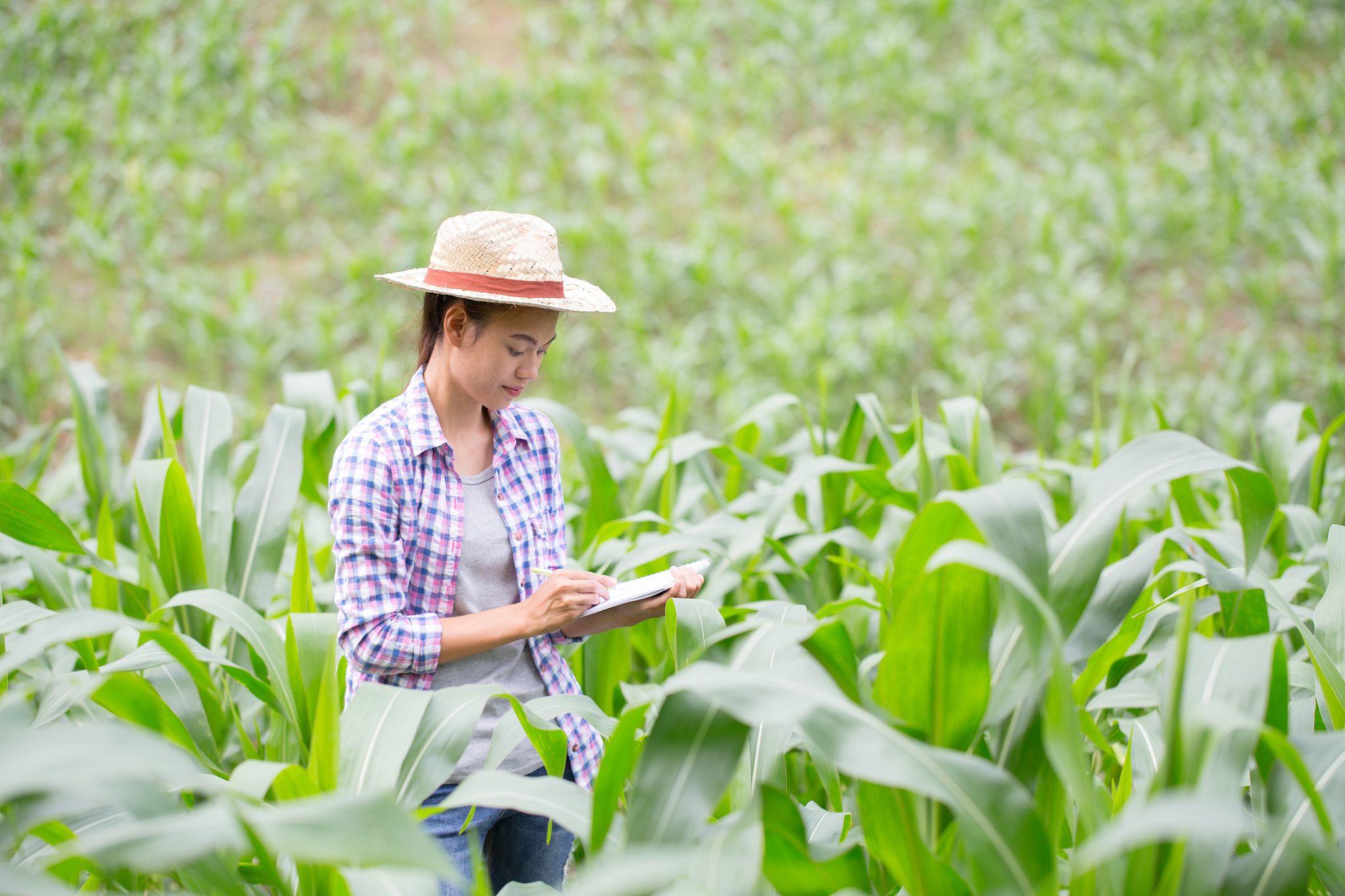 日照农业学校2019年招生专业有哪些？