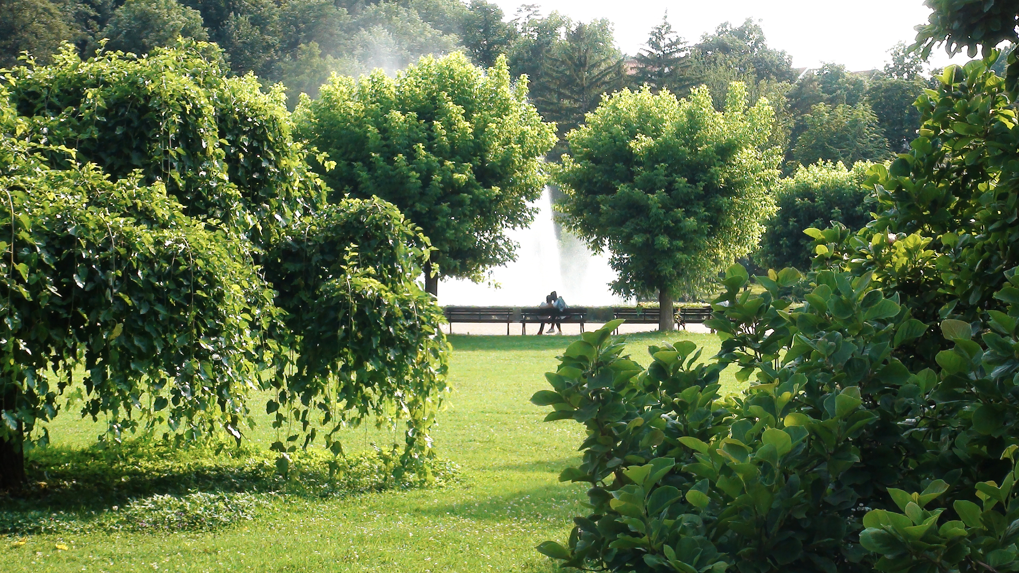 重庆市北碚职业教育中心园林技术专业课程设置有哪些