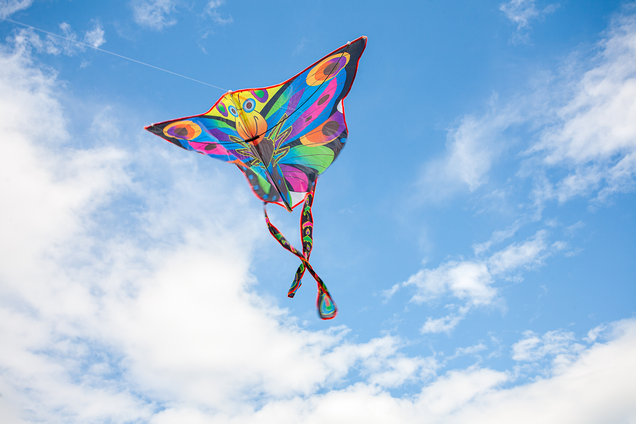 kite in hand