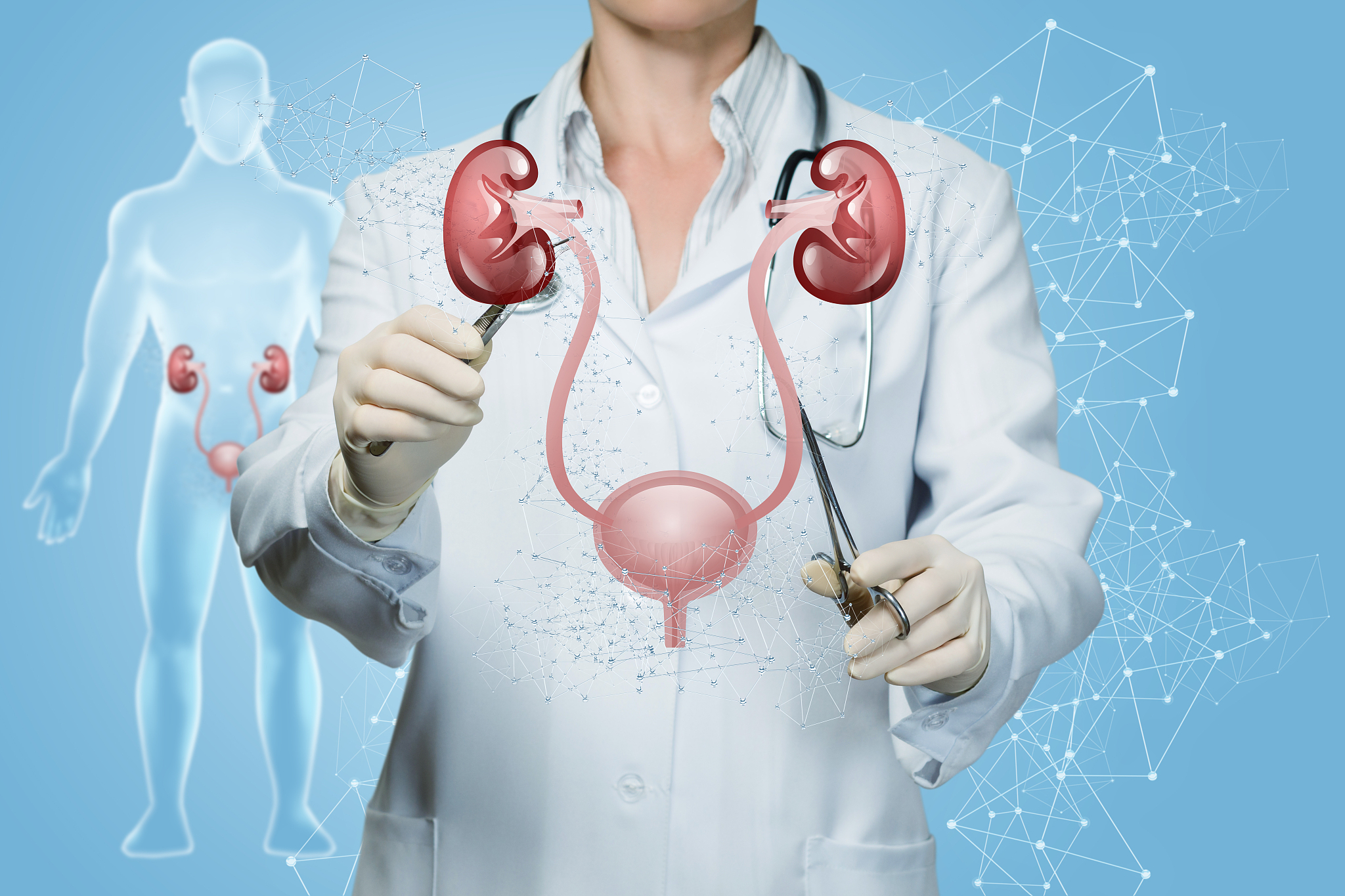 打点滴药物进入人体全过程：从手背到尿液排出