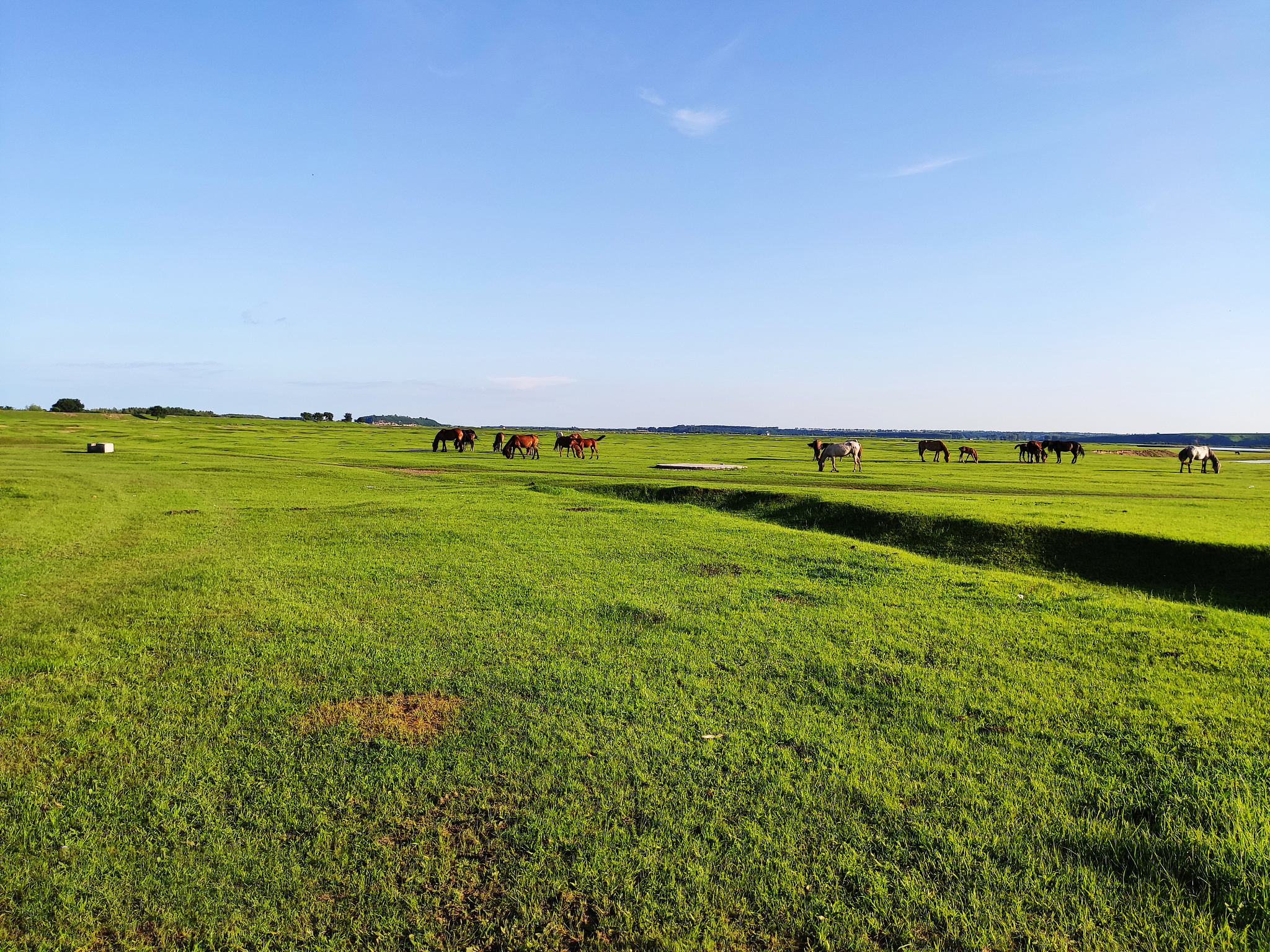 内蒙古草地分等定级表：了解不同等级草地的利用情况
