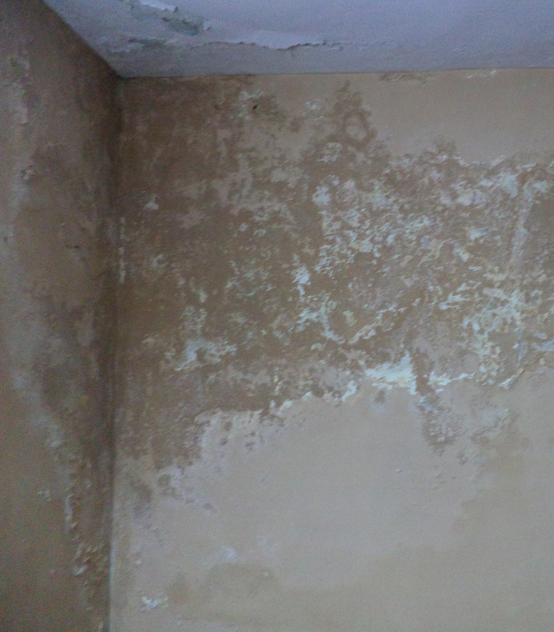 装修鼓包的那种情况是挂网就行了 还是必须铲掉