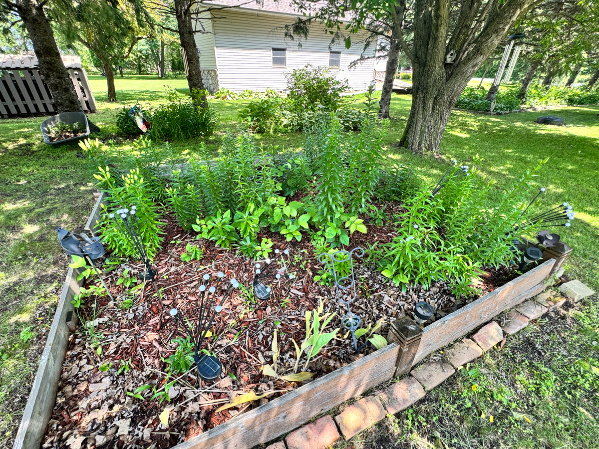 小高层楼顶种花种菜打造屋顶花园可行吗？