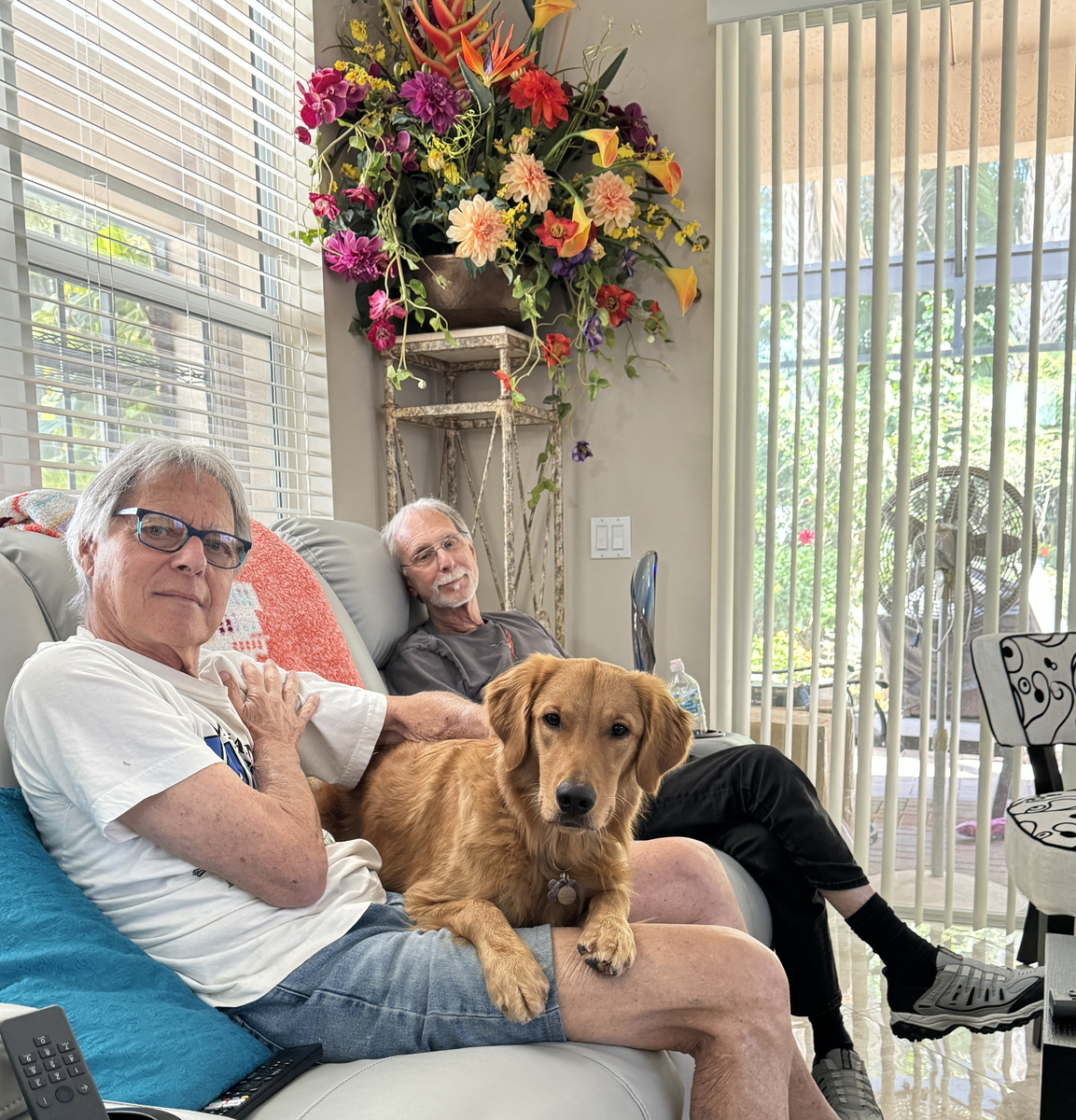 以宠物伴侣的陪伴对孤独老人的重要性为题写一篇1100文章