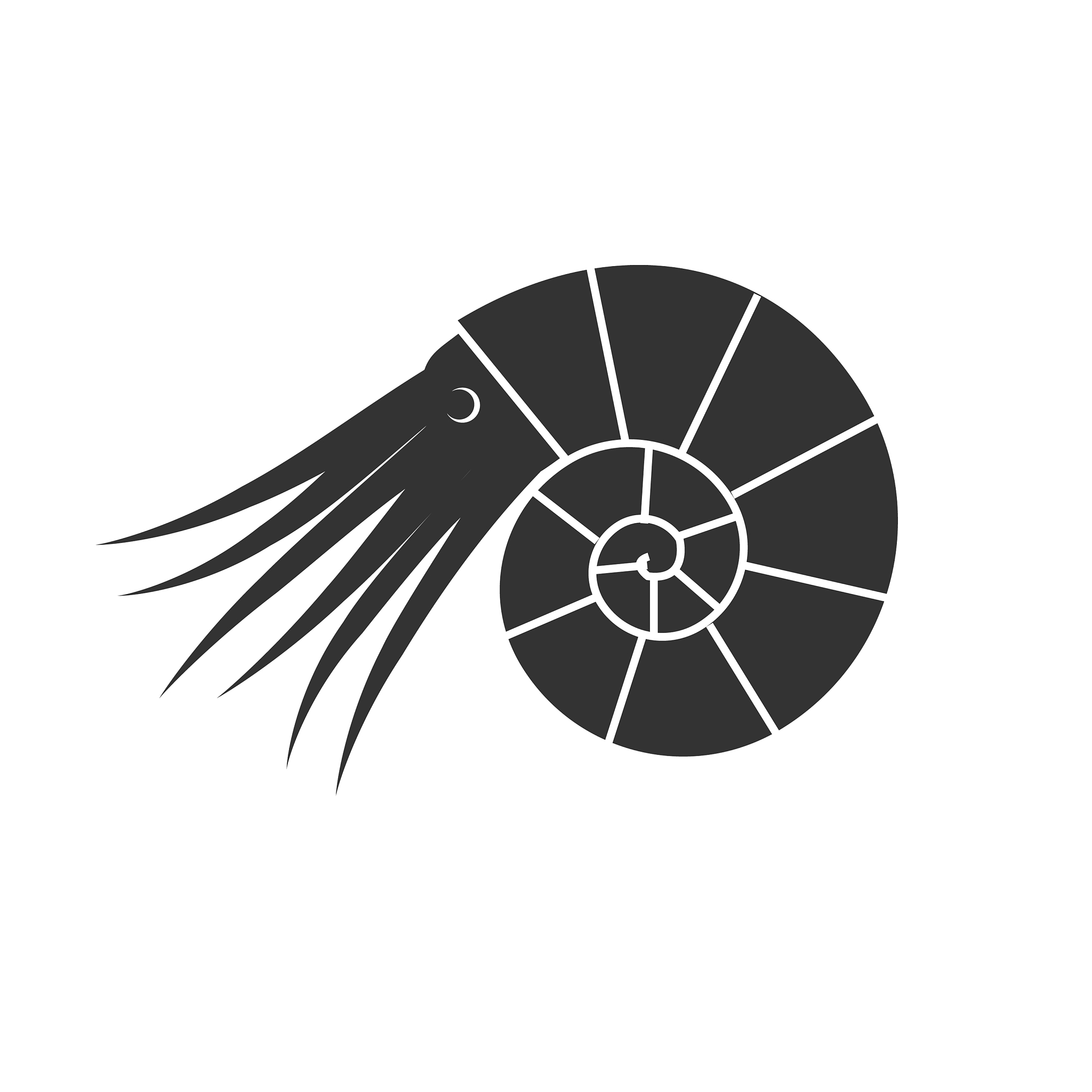 北京大学地质研究生考试科目：详细解析及备考建议