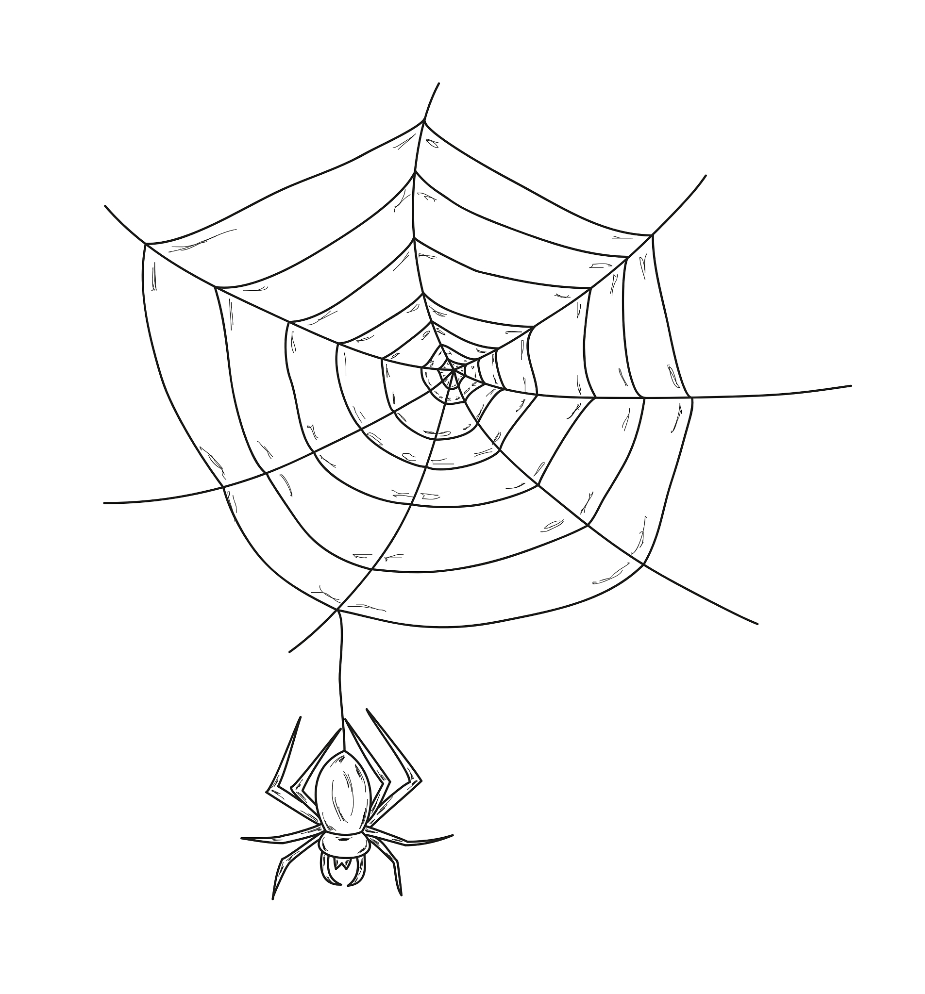 蜘蛛丝的英文是什么？ - 关于Spider Silk的知识