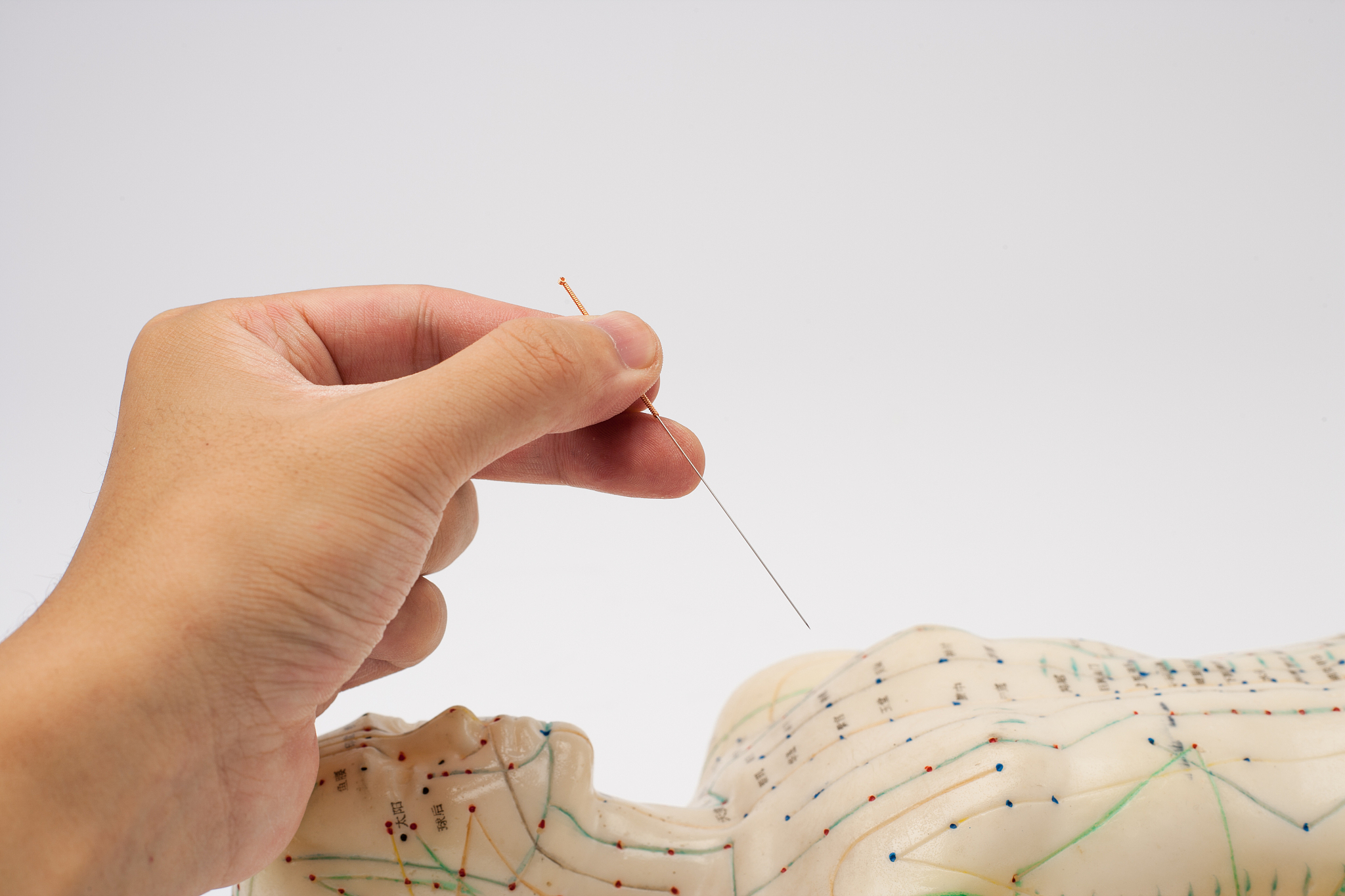 无锡卫校专业介绍：医学、护理、中医等领域全覆盖