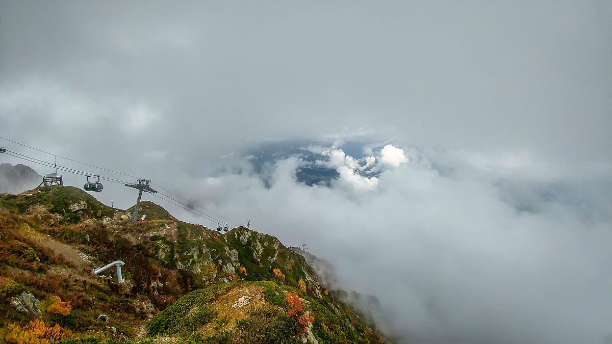 春游日记：美丽公园的一天