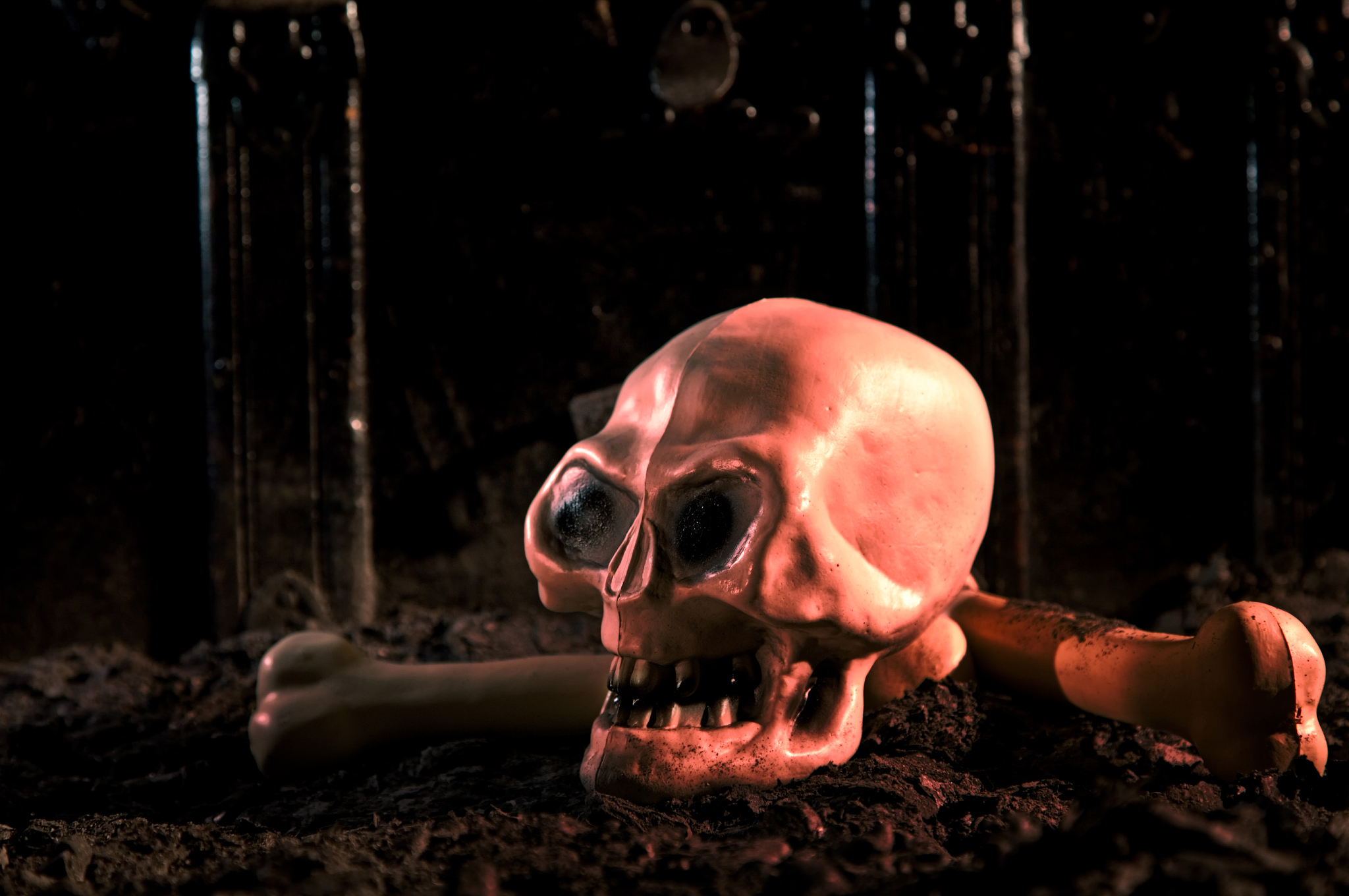 skull