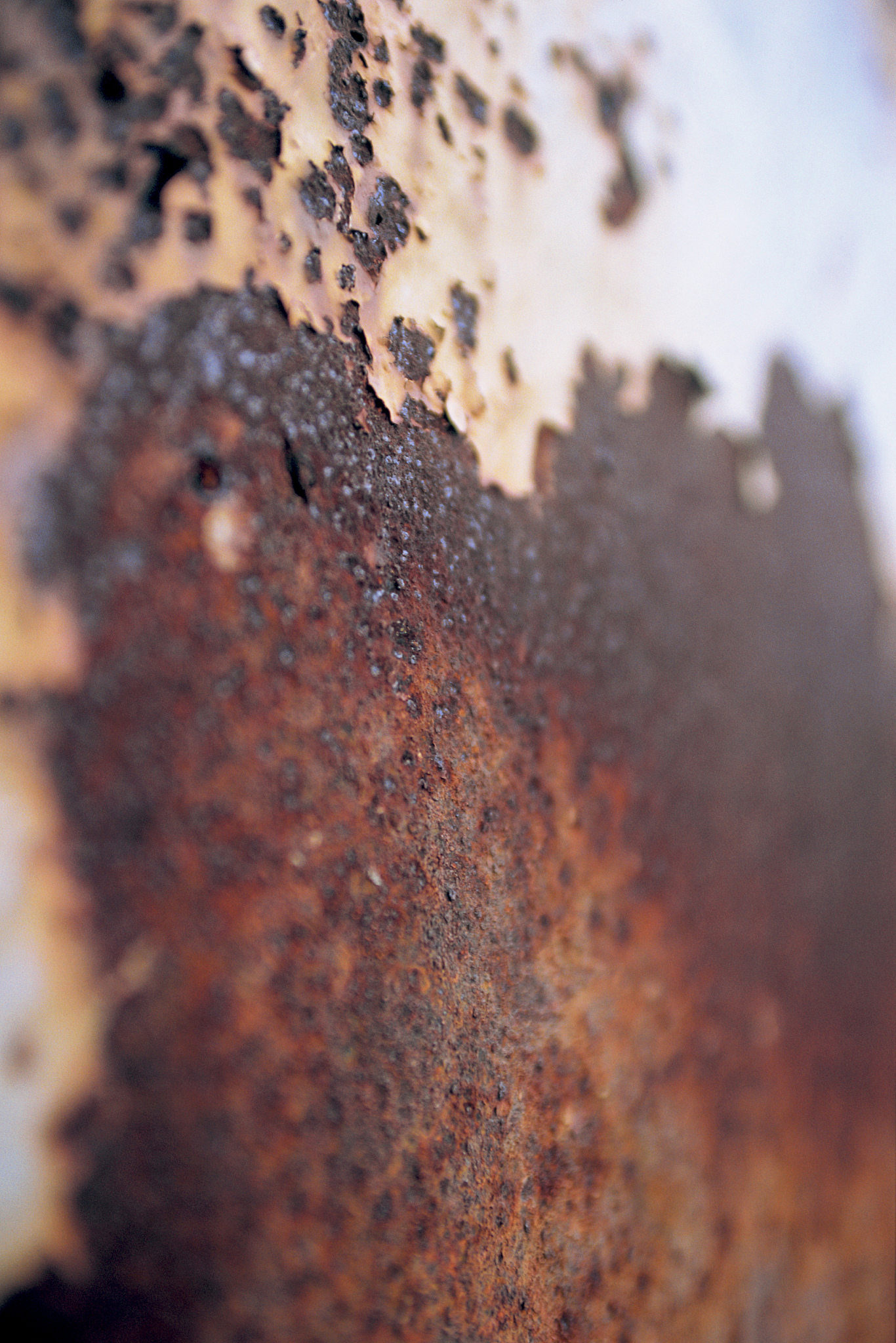 金属的腐蚀形态