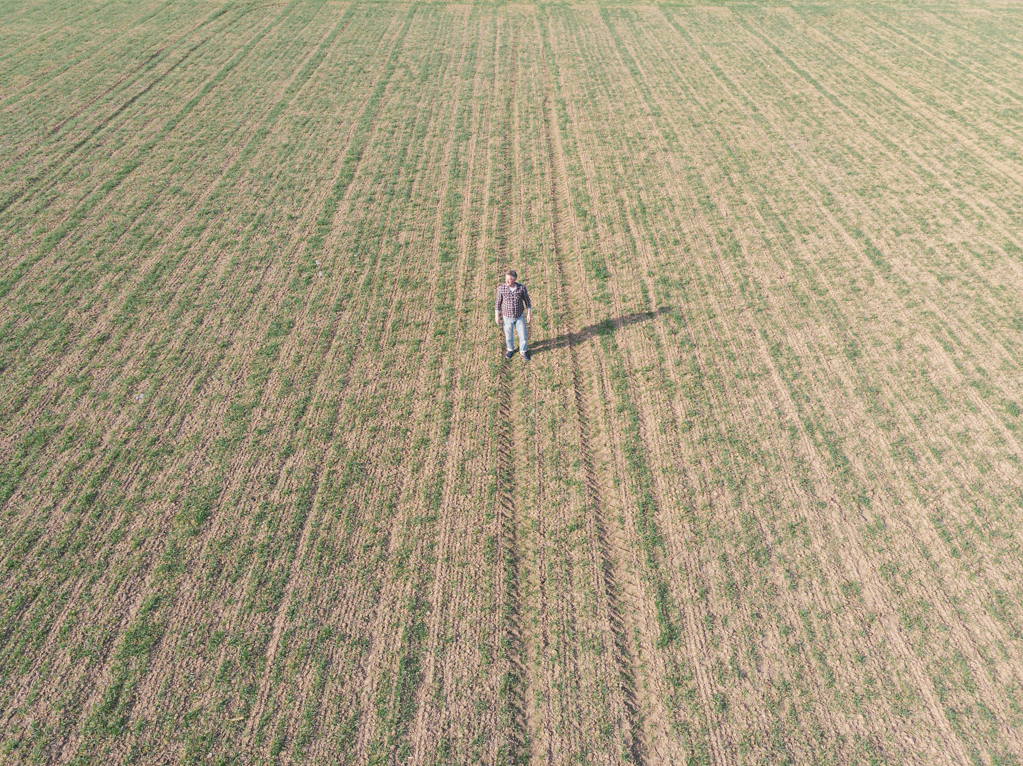 请设计一个探究气候对人类农业生产影响的小学五年级课外实践课题课题小组组长：陈彦桥组员：韩双冰、余佳锌、吴成峻请写出比较详细的探究活动过程和课题报告请以四川省绵阳市的气象数据为基础列出具体的详细的数据