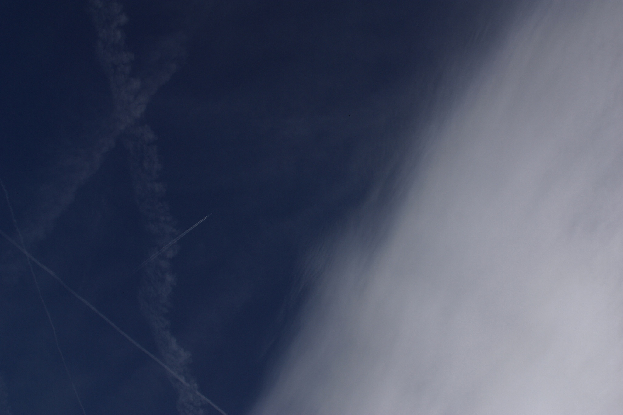 营利性高等学校外部环境分析：政治、经济、社会、技术、竞争及自然环境