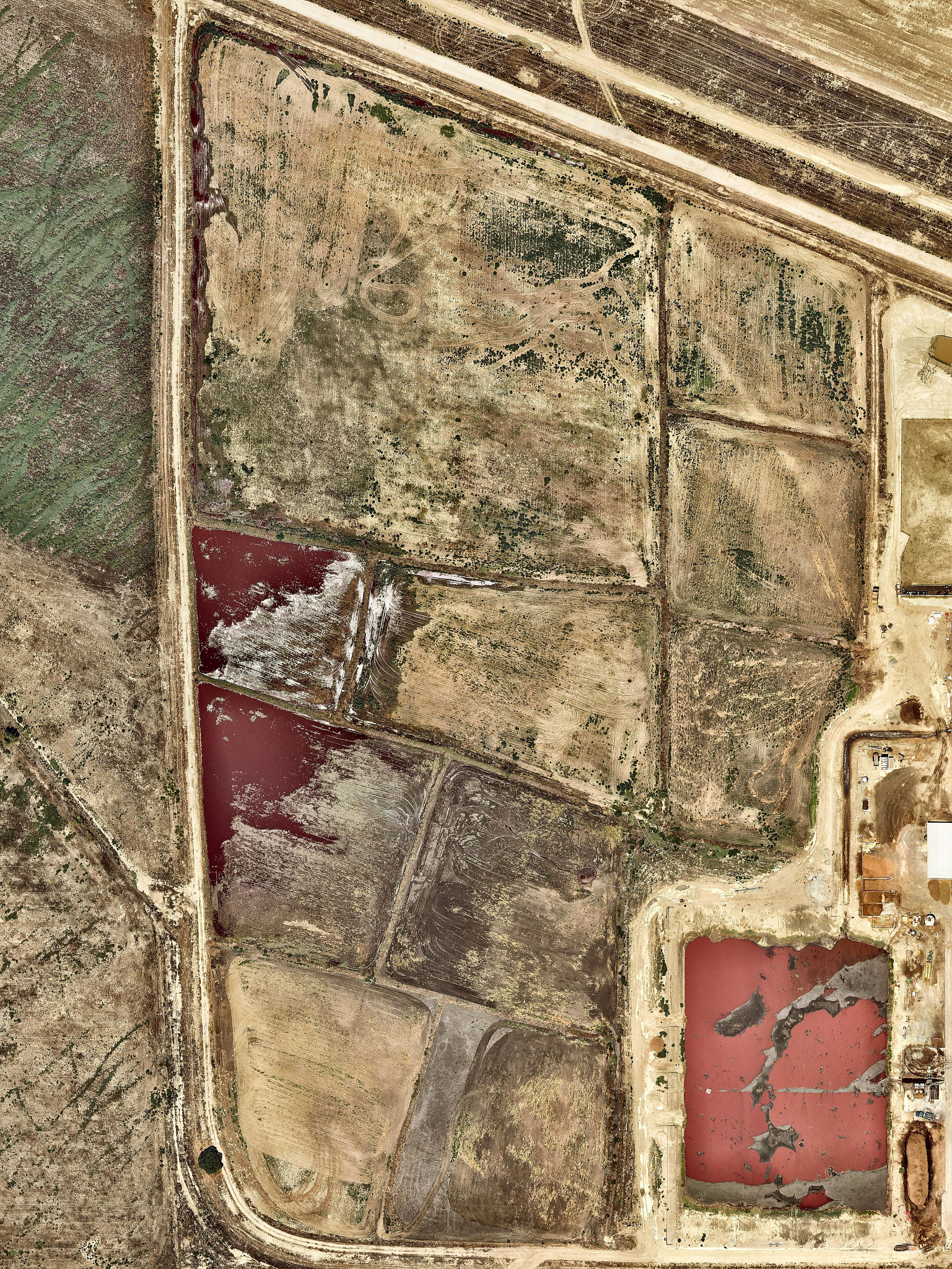 乌尔莫城的危机：副城主抉择