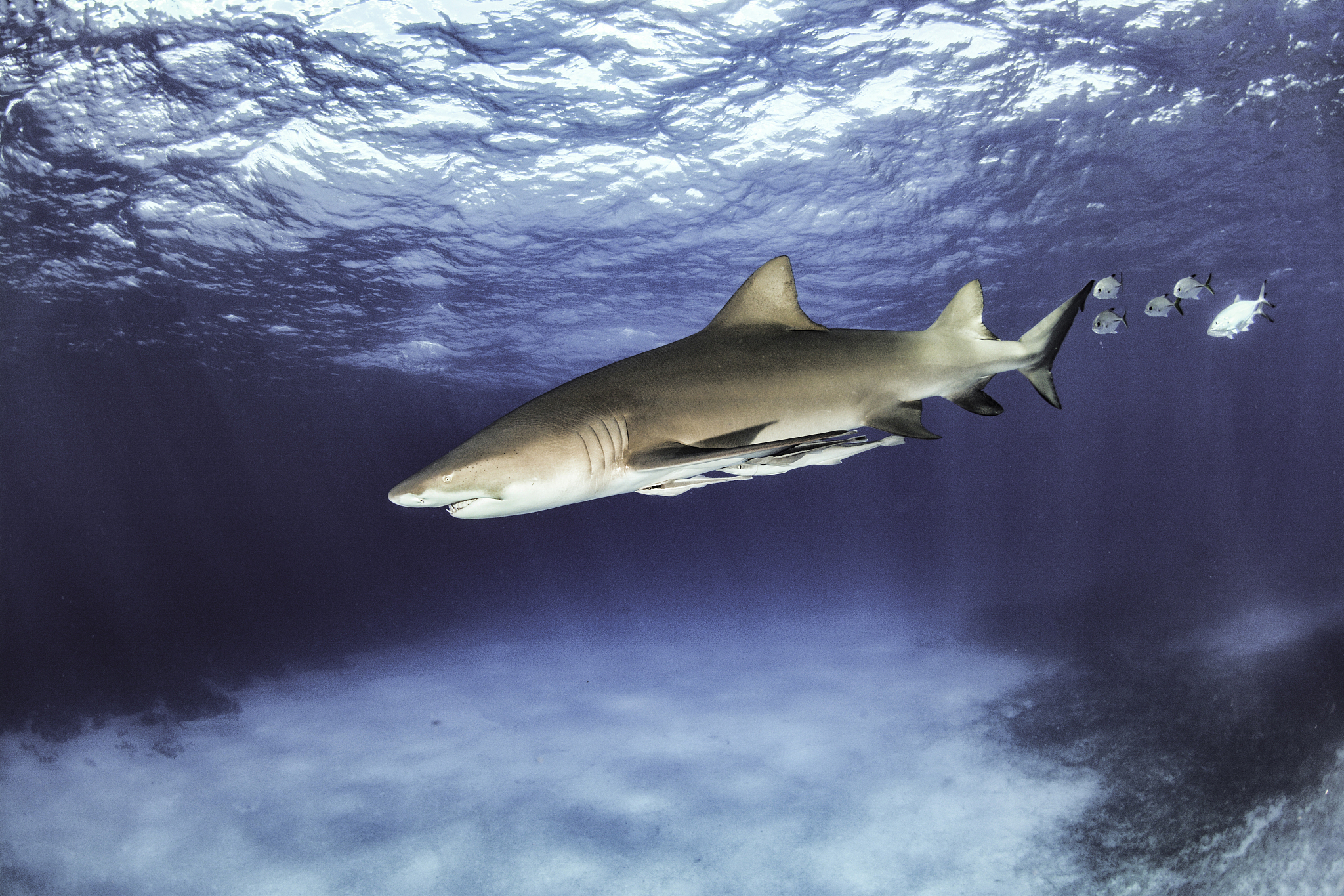 30个户外旅游主题文章标题，激发你的旅行灵感