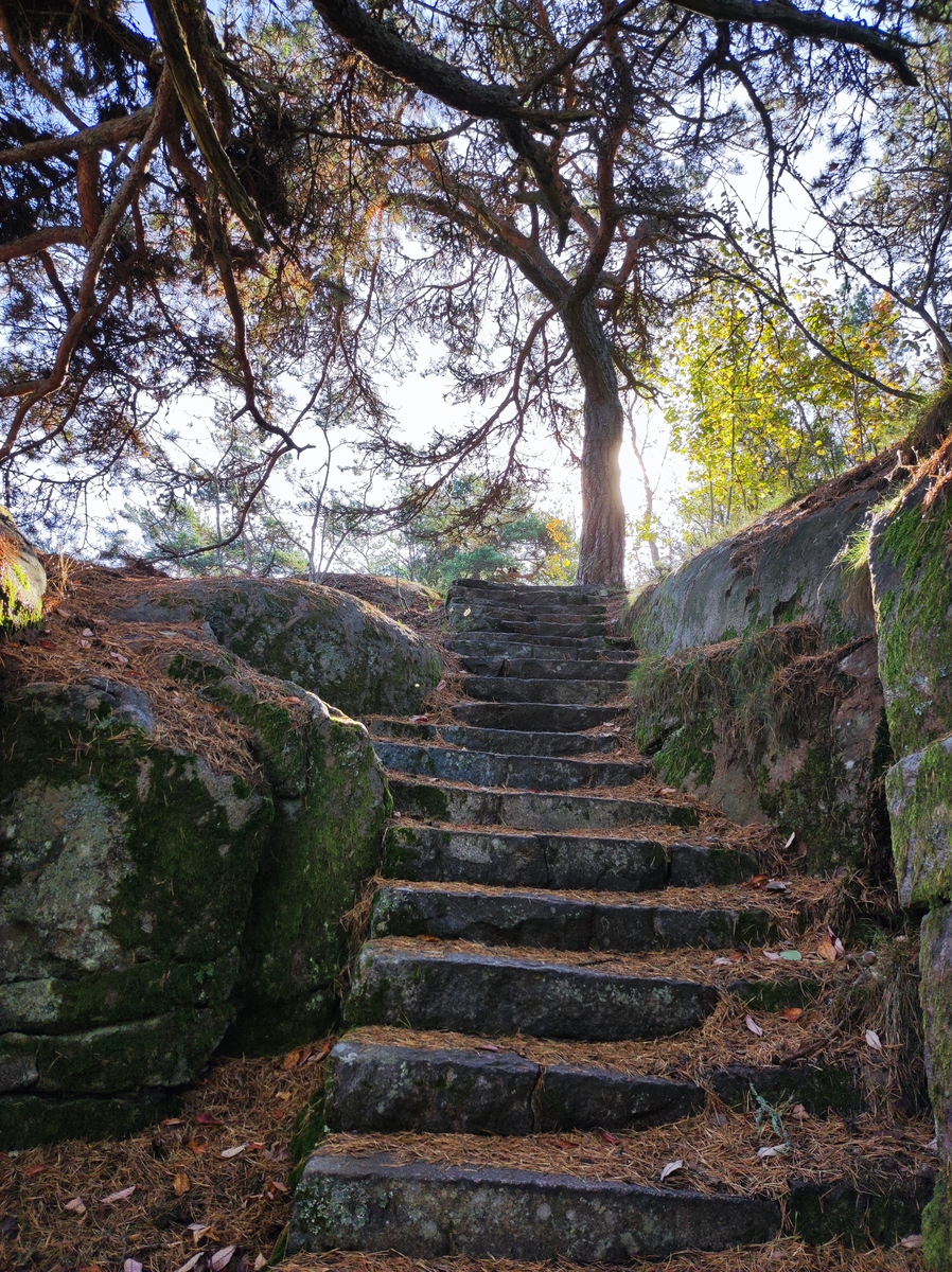 石磴回环踏不穷，连柯接叶掩苍空：探秘深山古道，感受自然奇观