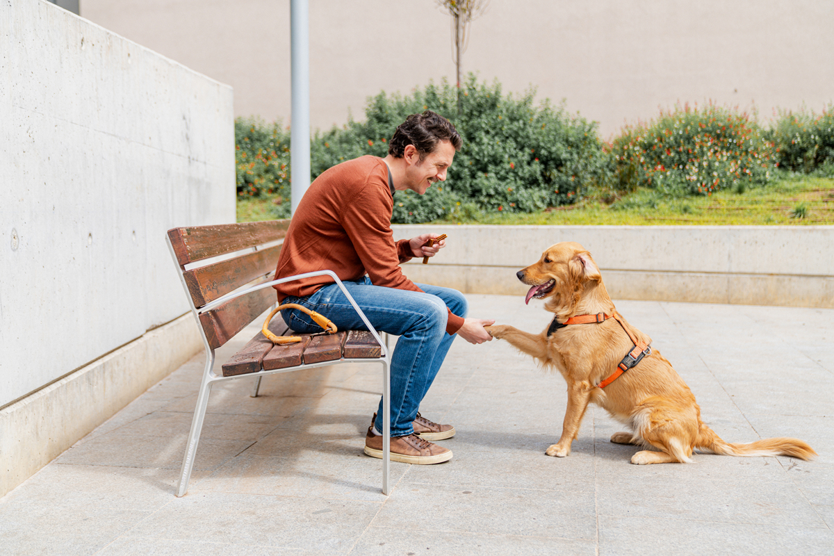 以同时养两条狗与养一条狗有没有什么区别呢？为题重新编写标题写一篇1100字文章