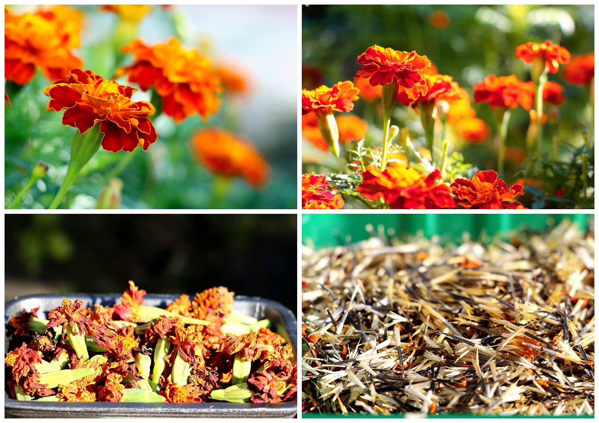 帮我写一个基于BS的职工信息管理系统的可行性分析