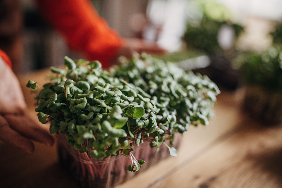 2021年云南林业技工学校三年制招生专业