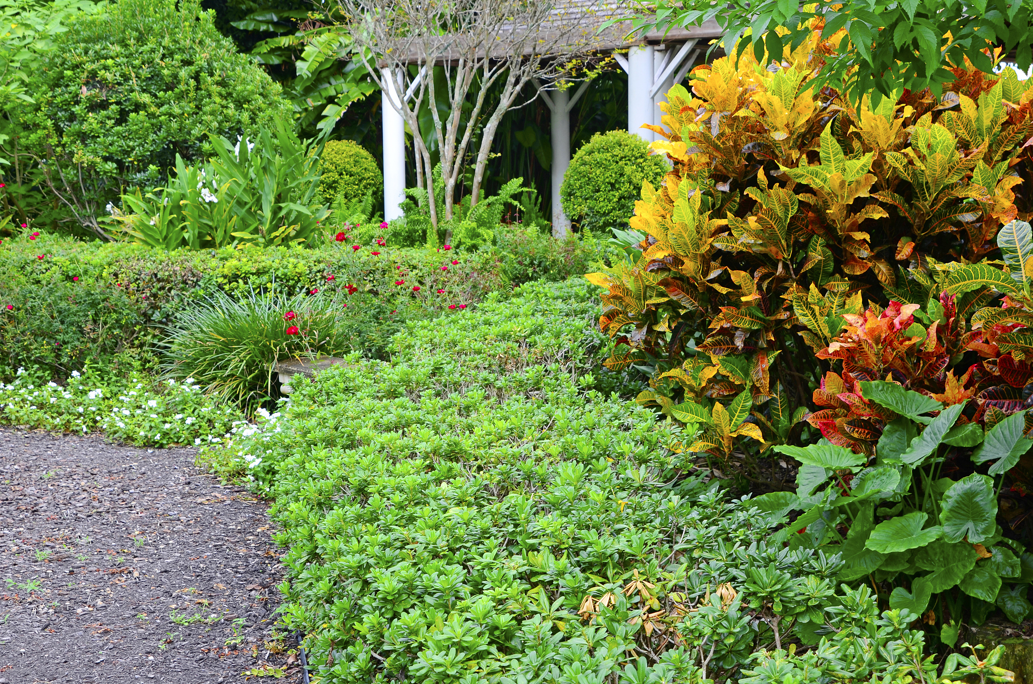 校园植被缺少单一怎么改善