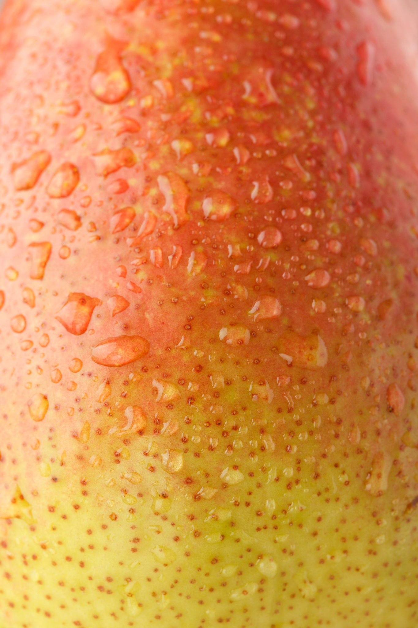 surface of pear with water drops