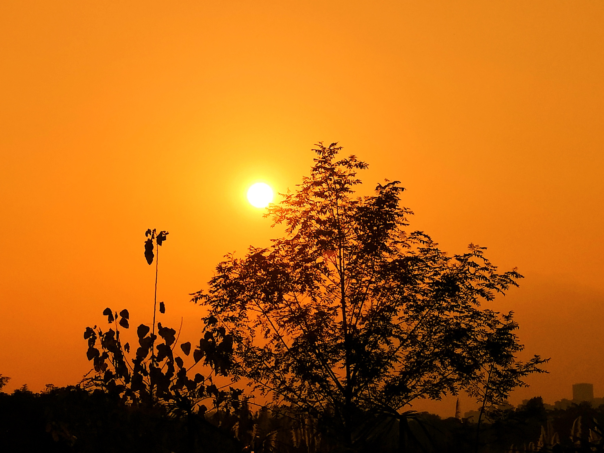 日落诗：夕阳美景，人生感怀