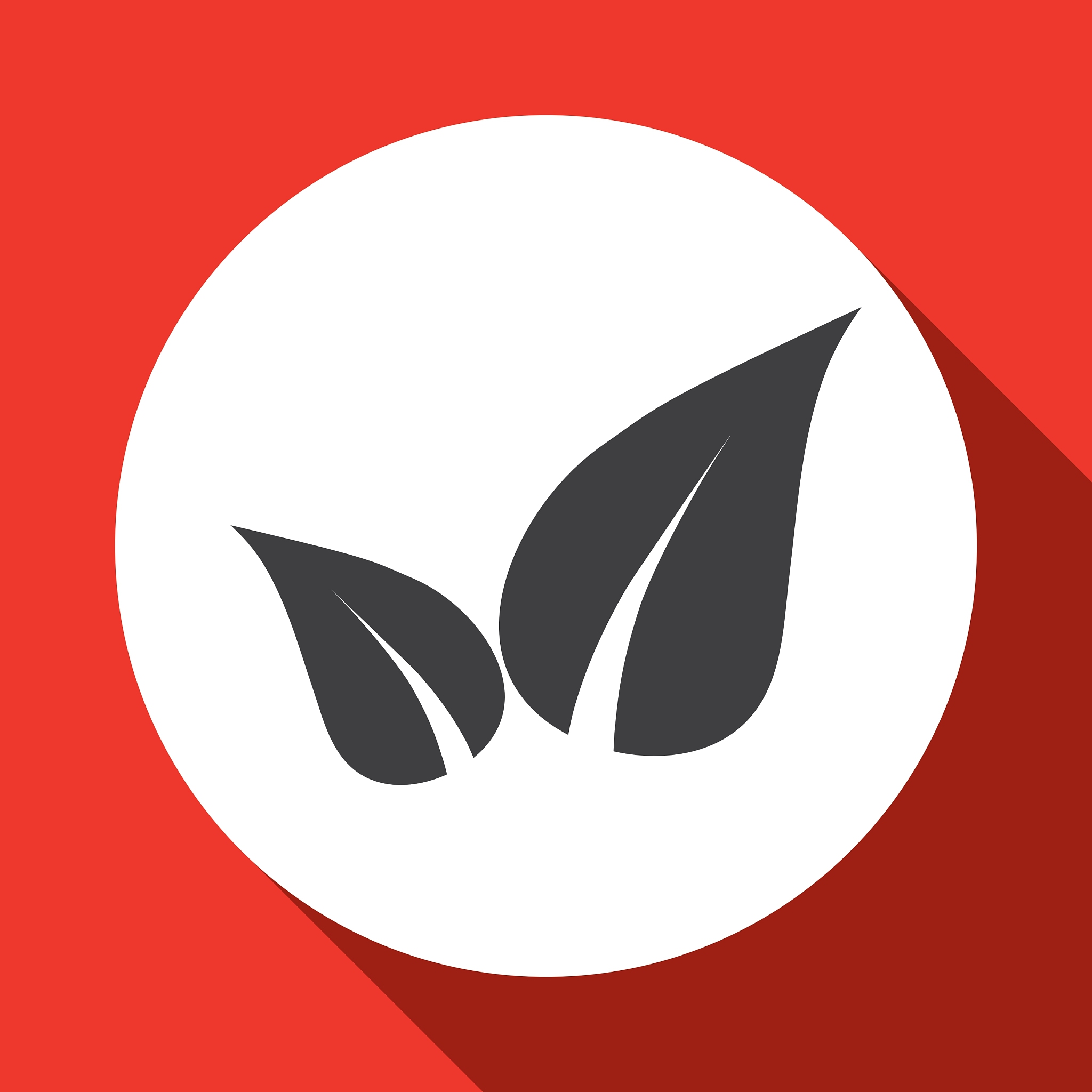 eco leaf design