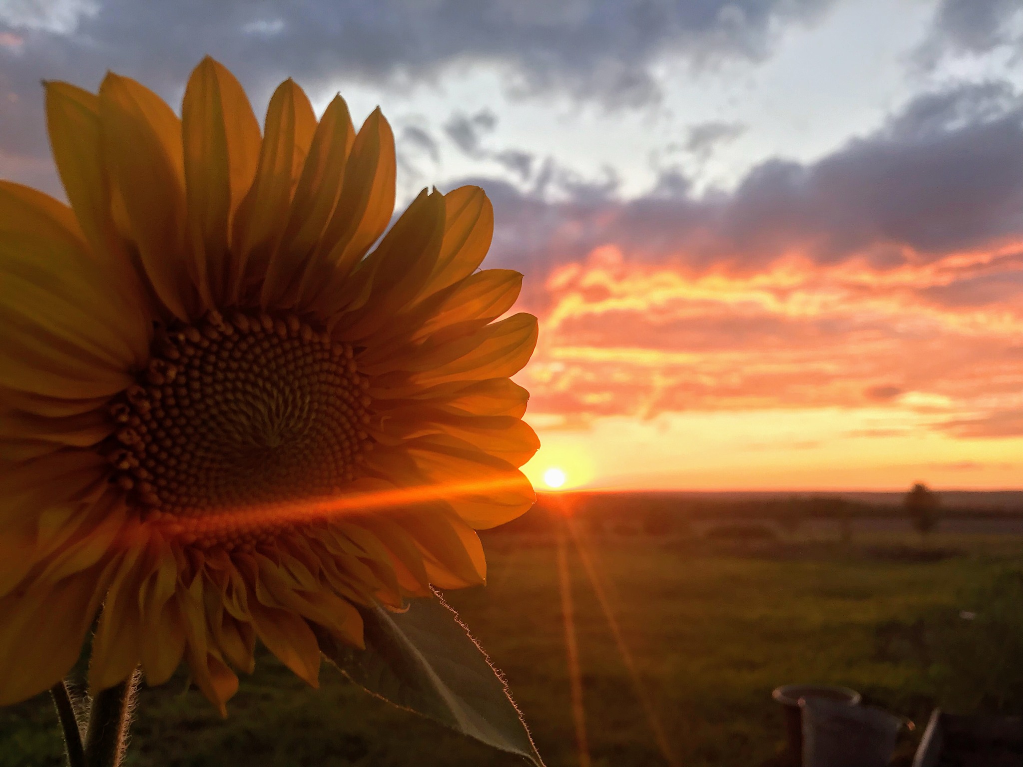 感谢自己：选择积极乐观，在苦乐人生中不断成长