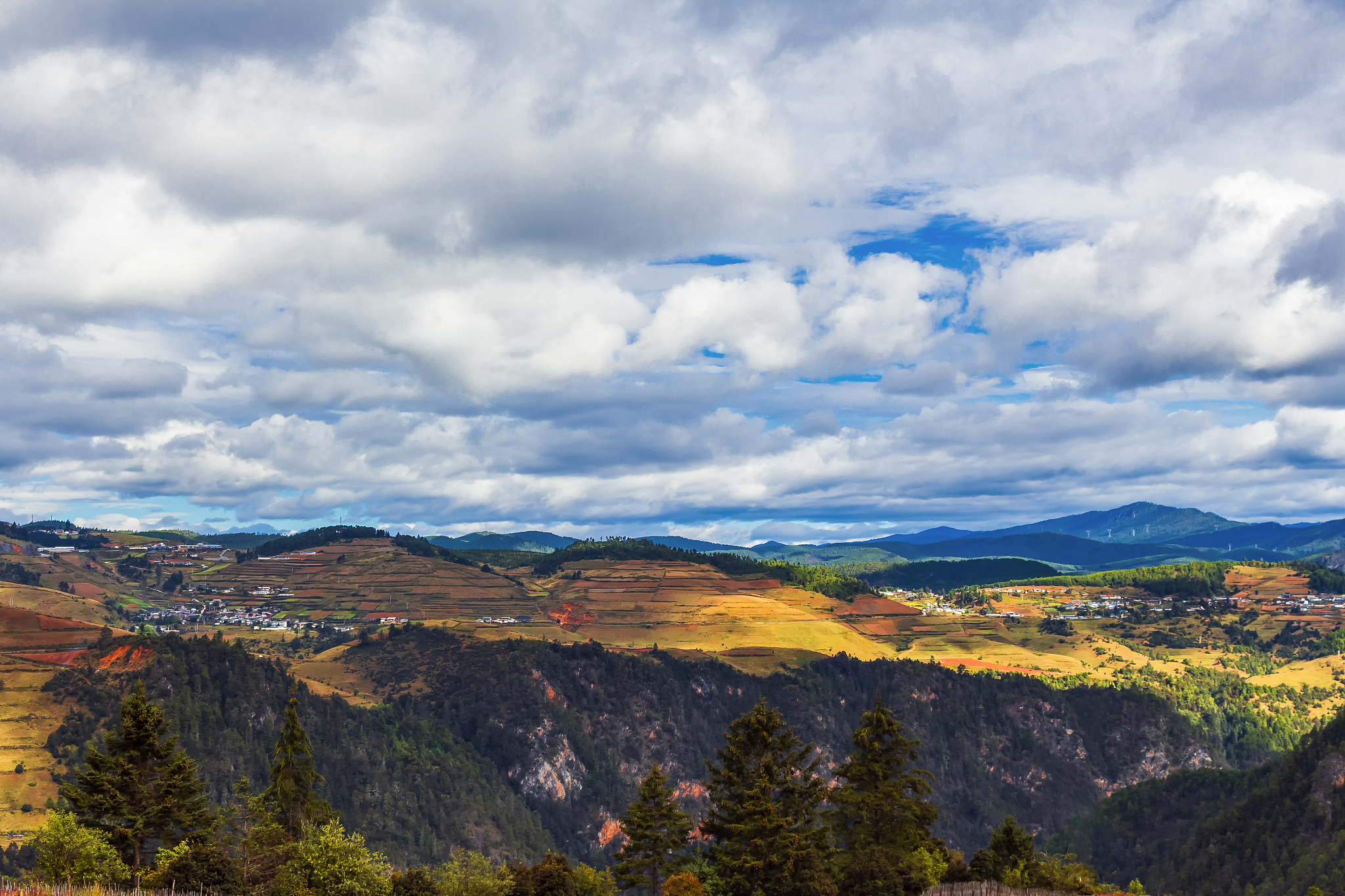 《乡土中国》第一章：探寻中国乡村的独特魅力