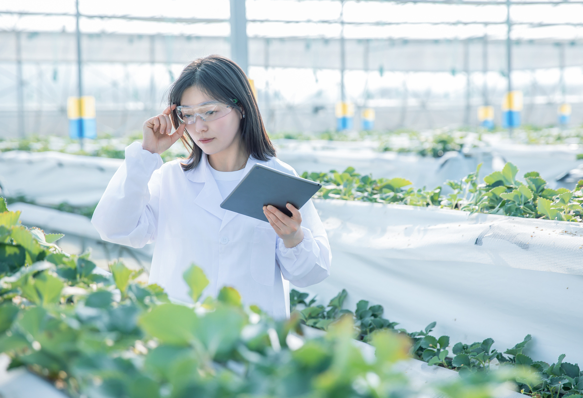 曲靖农校五年制专业计划：培养现代农业人才