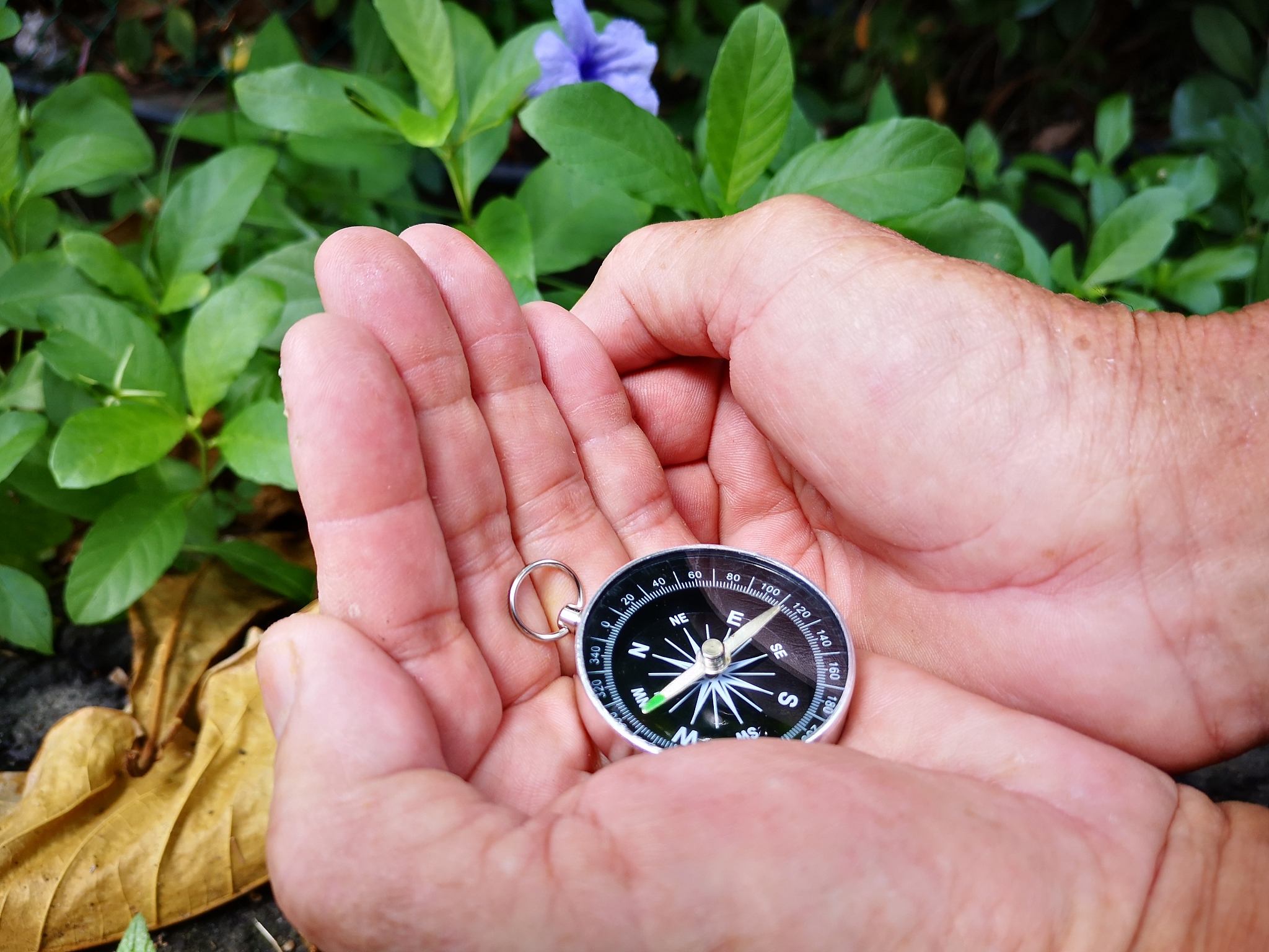 风水调整在各方面的作用