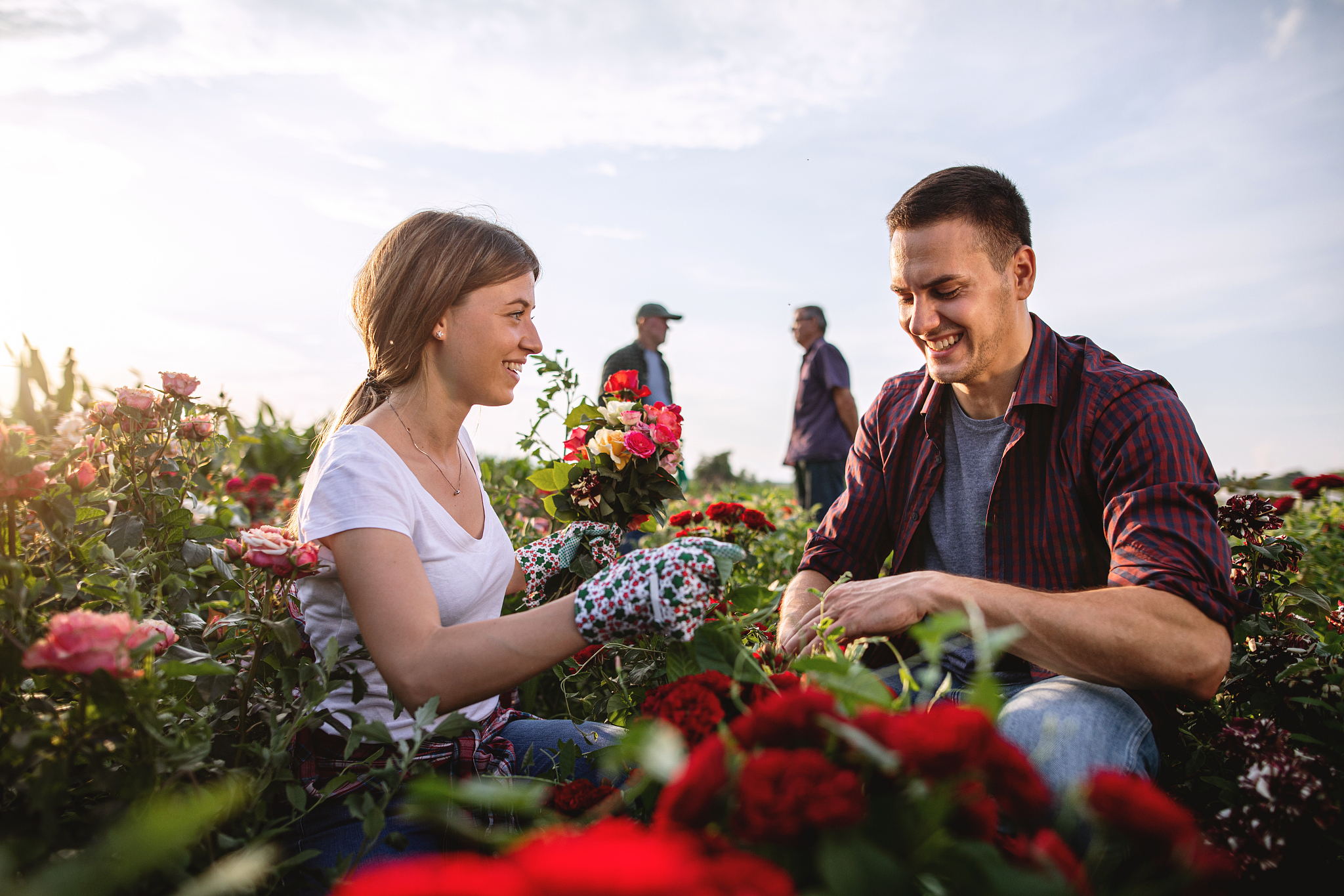 山西运城农业职业技术学院招生专业有哪些有农业经济管理专业吗