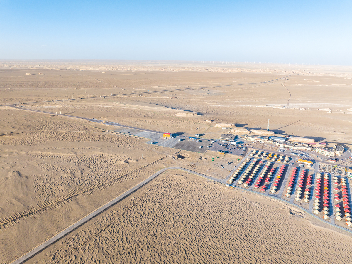 腾格里沙漠治沙植物遭碾压：越野车破坏生态红线引发关注