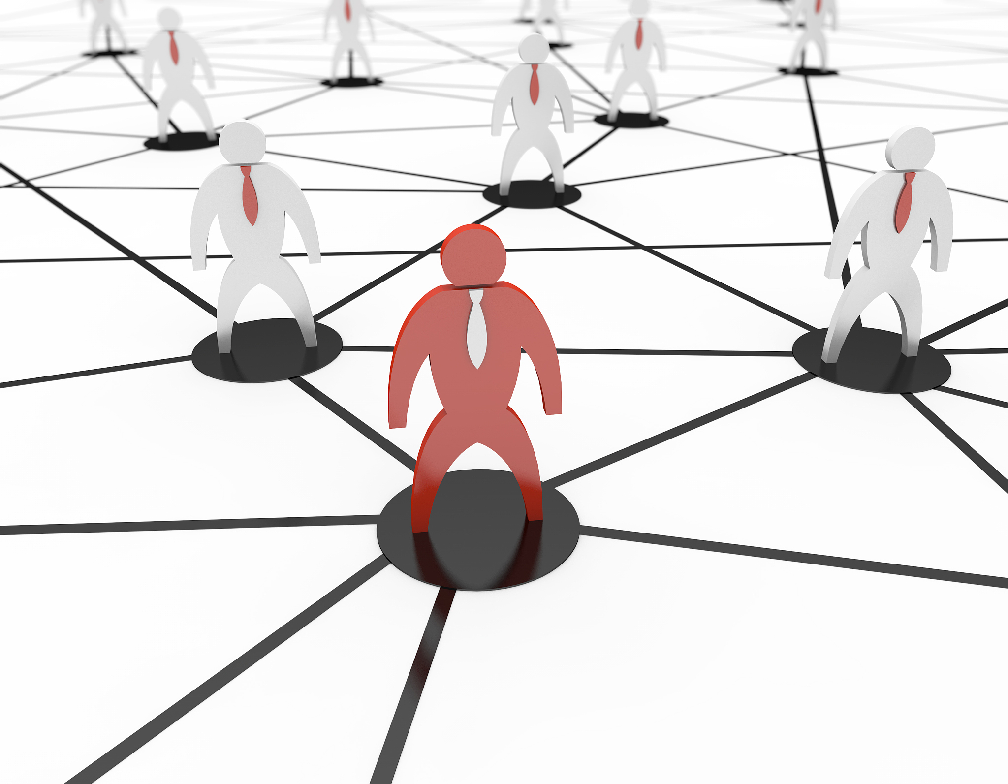 business small white cohort composed of networks, social network