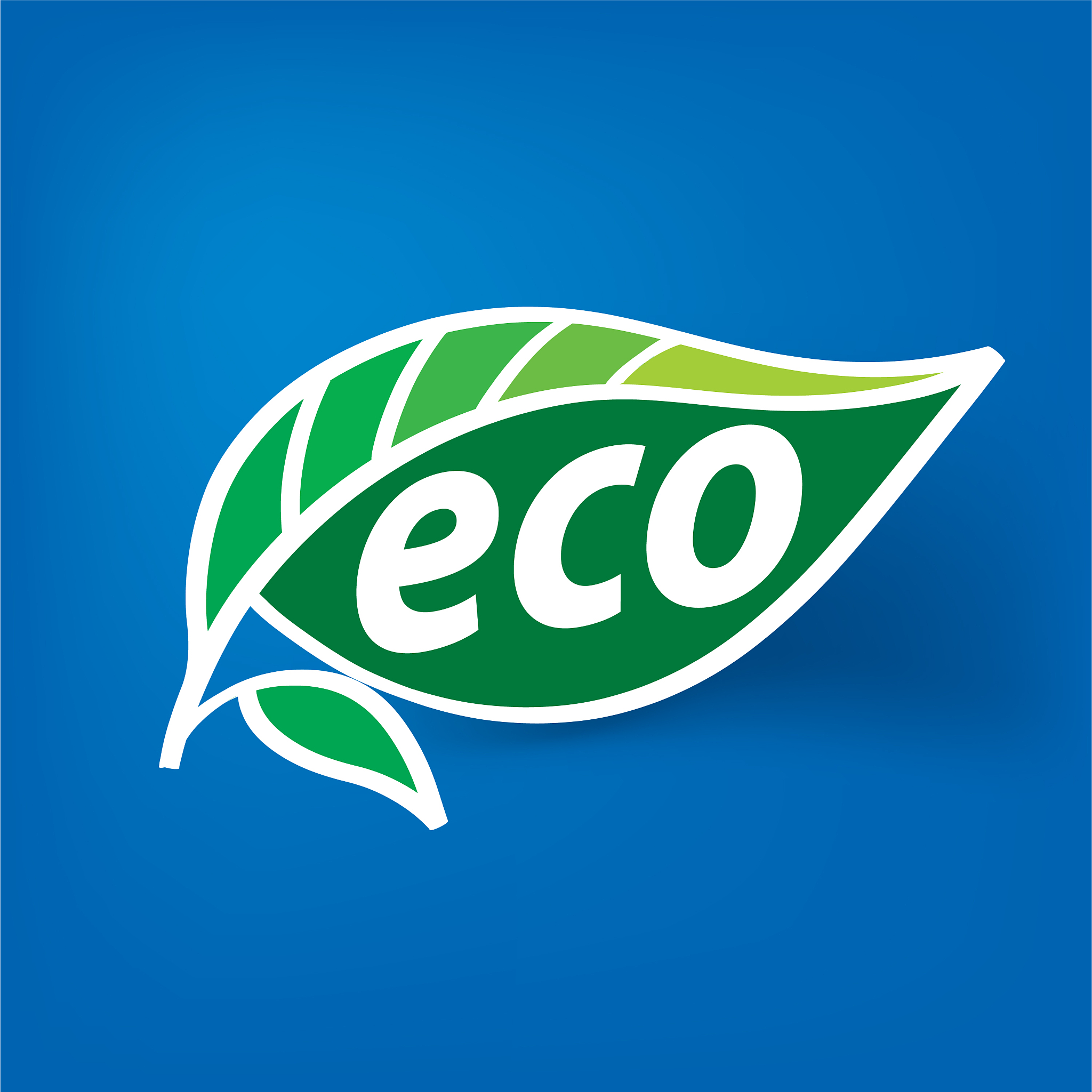 logo eco