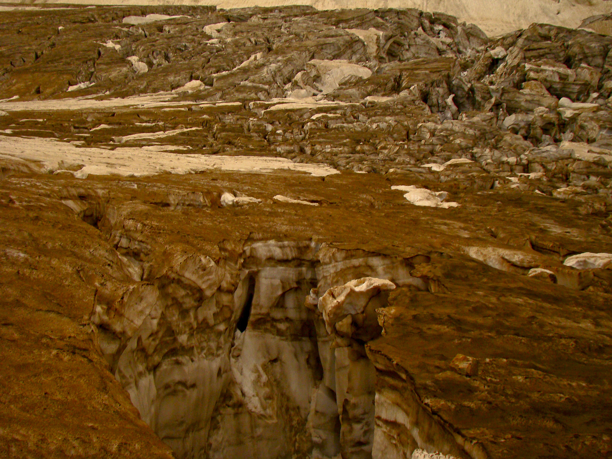 美国化学学会 (ACS) 成立时间