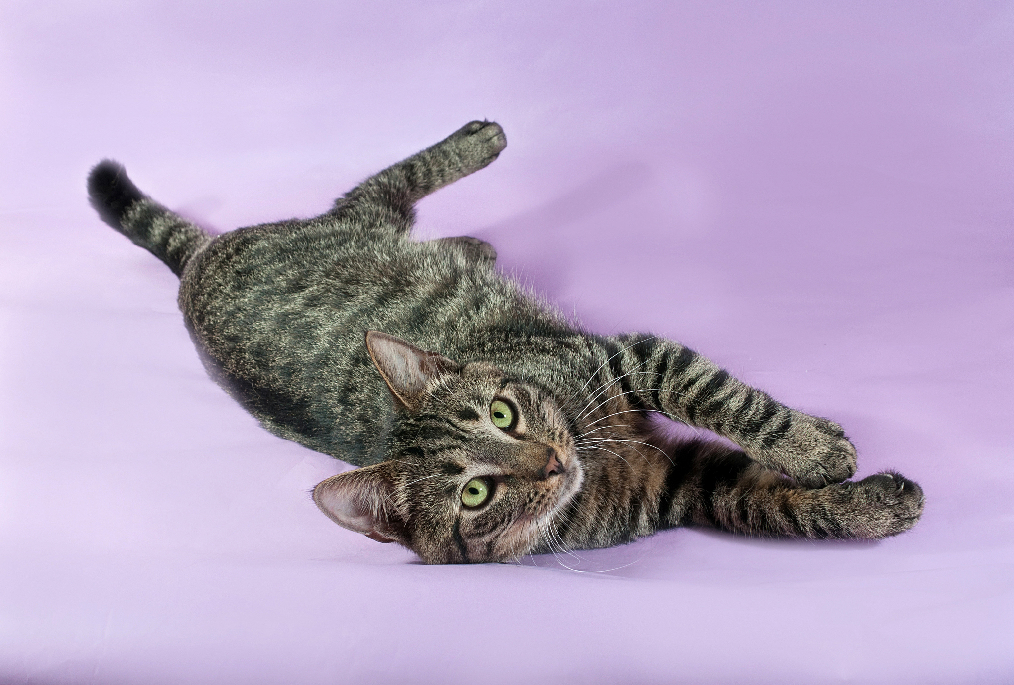 玉溪农业职业技术学院兽医专业怎么样？ - 就业前景、课程设置、师资力量