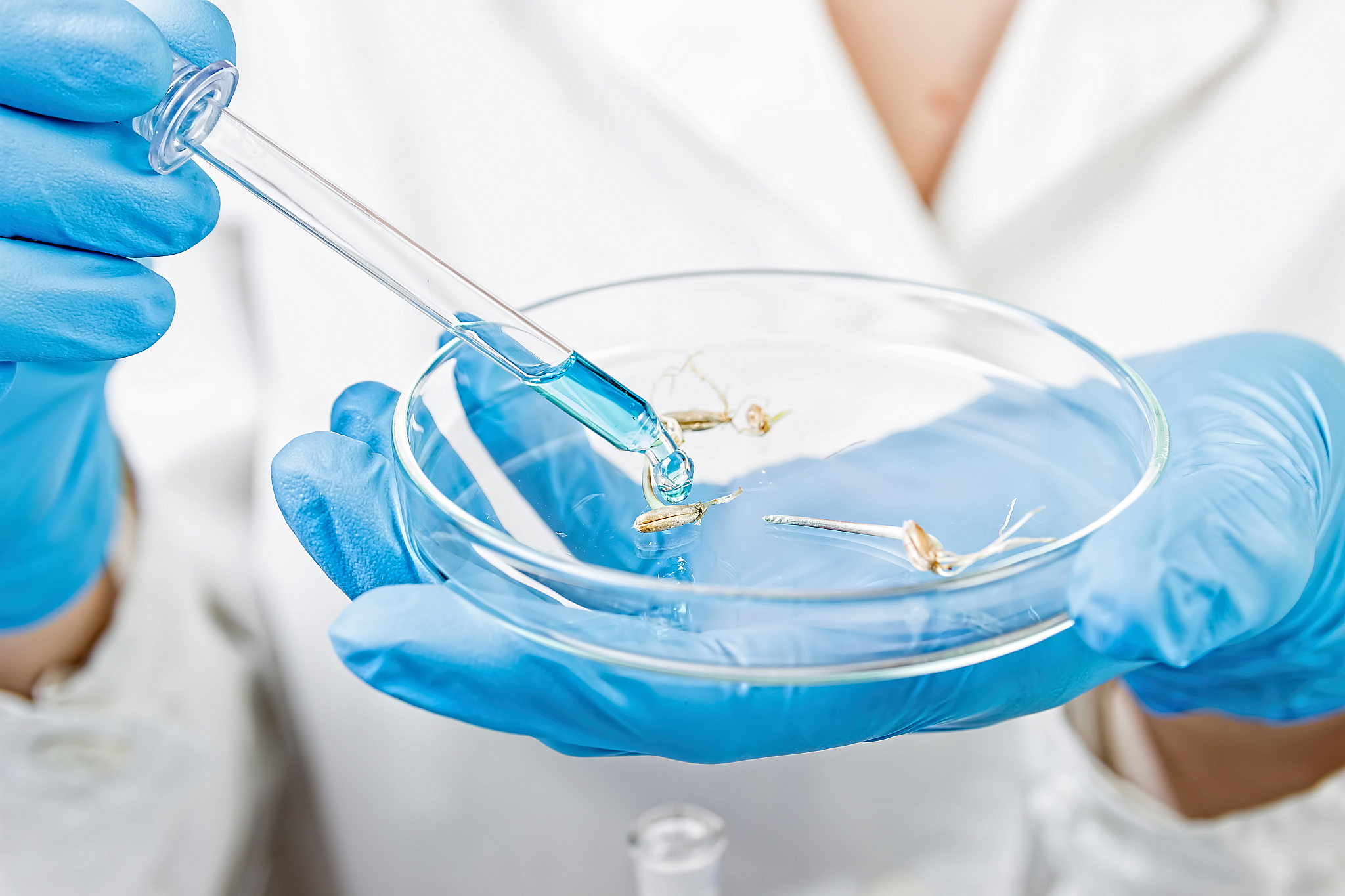 请作为科研人员改写以下内容：耐盐碱作物育种加速与表型鉴定平台。总投资13000万元已完成投资1500万元。主要开展作物耐盐碱表型数据高效获取与解析构建G-P库为加速作物育种提供技术支撑建成后每年可完成耐盐碱相关表型鉴定30万份次以上筛选和创制出有育种利用价值的耐盐碱新材料约5000份生物数据年产出量可达1PB级。