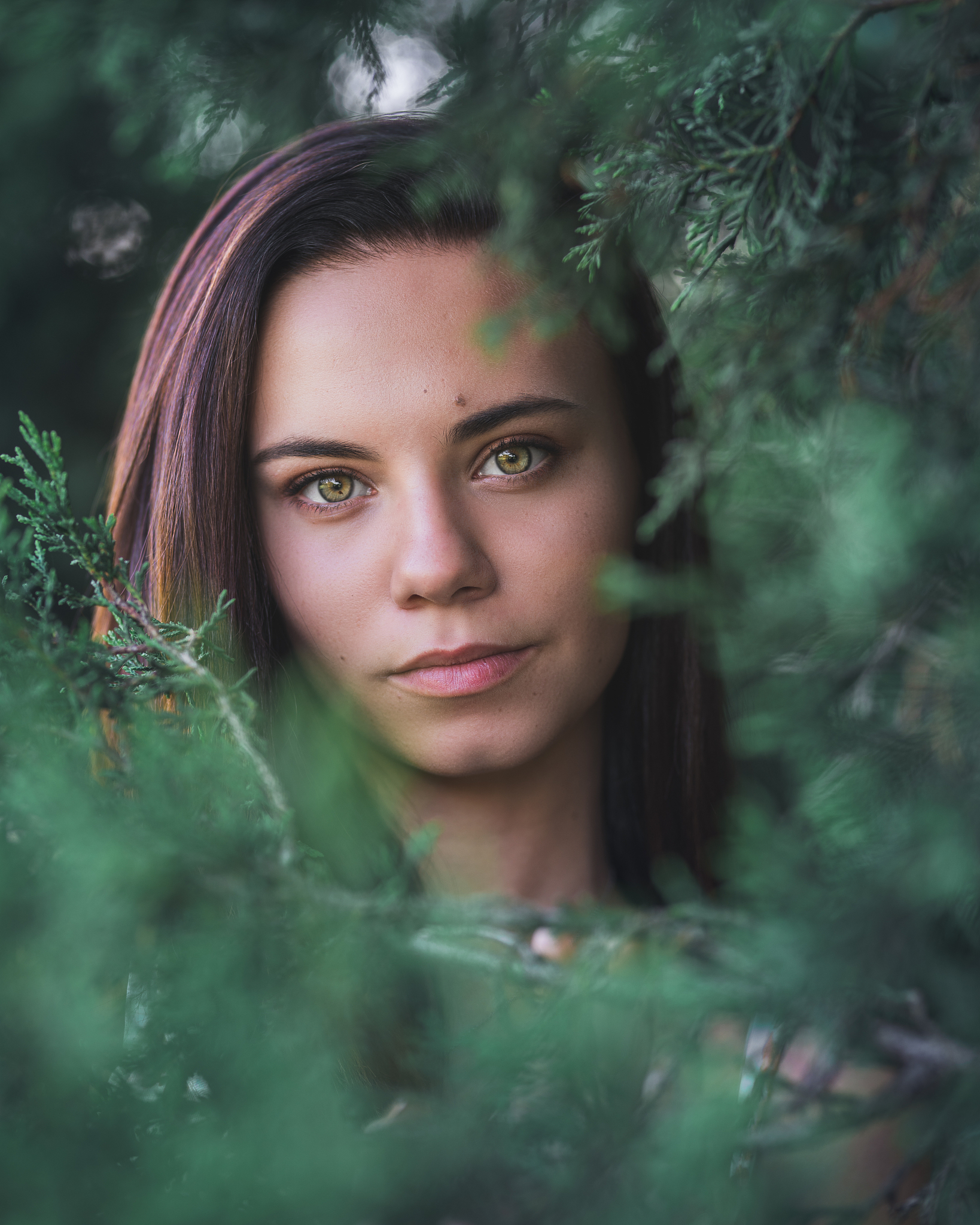 艾丽丝：电影中的勇敢女主角