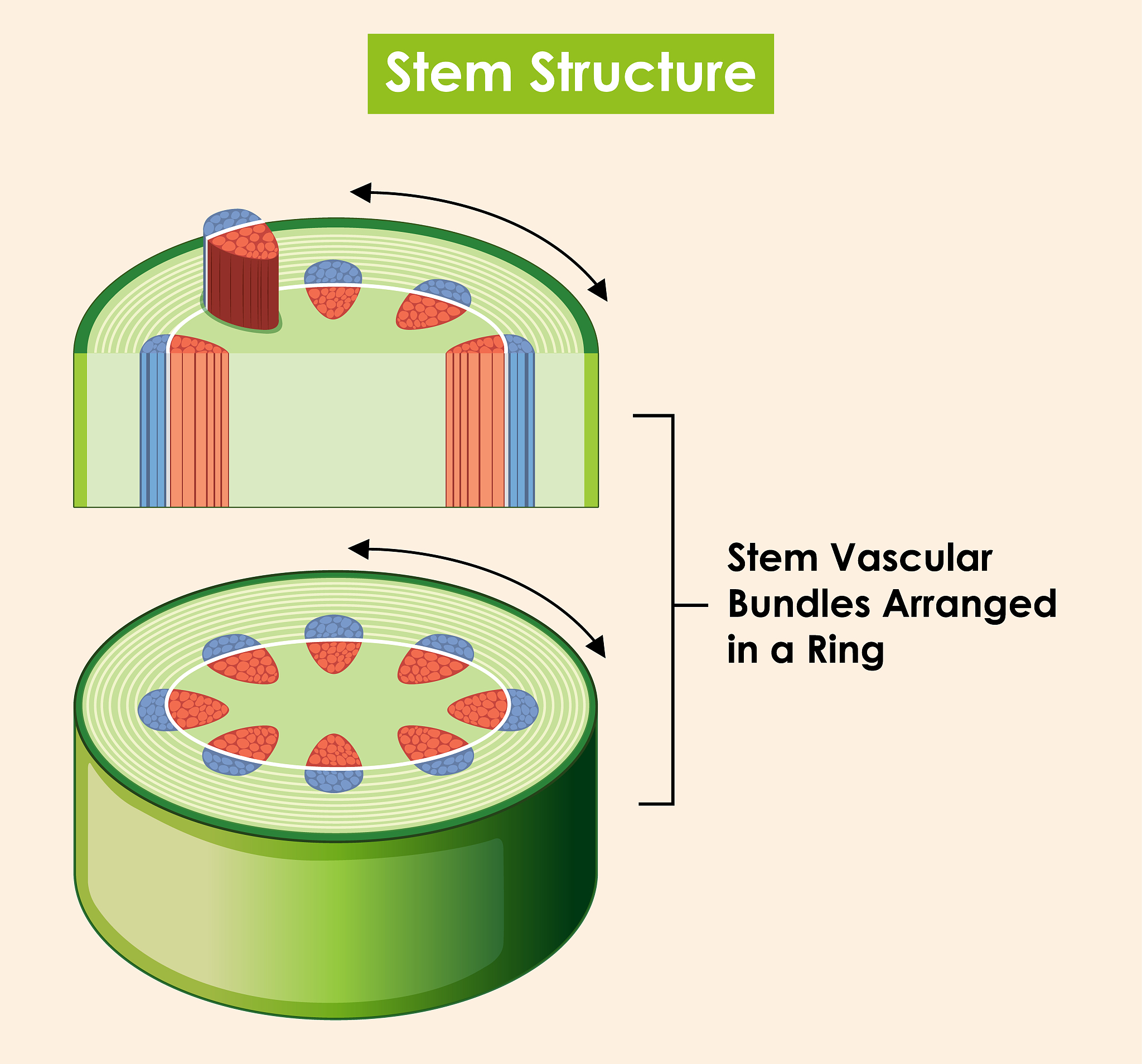 界面微环境对多相催化反应选择性的影响